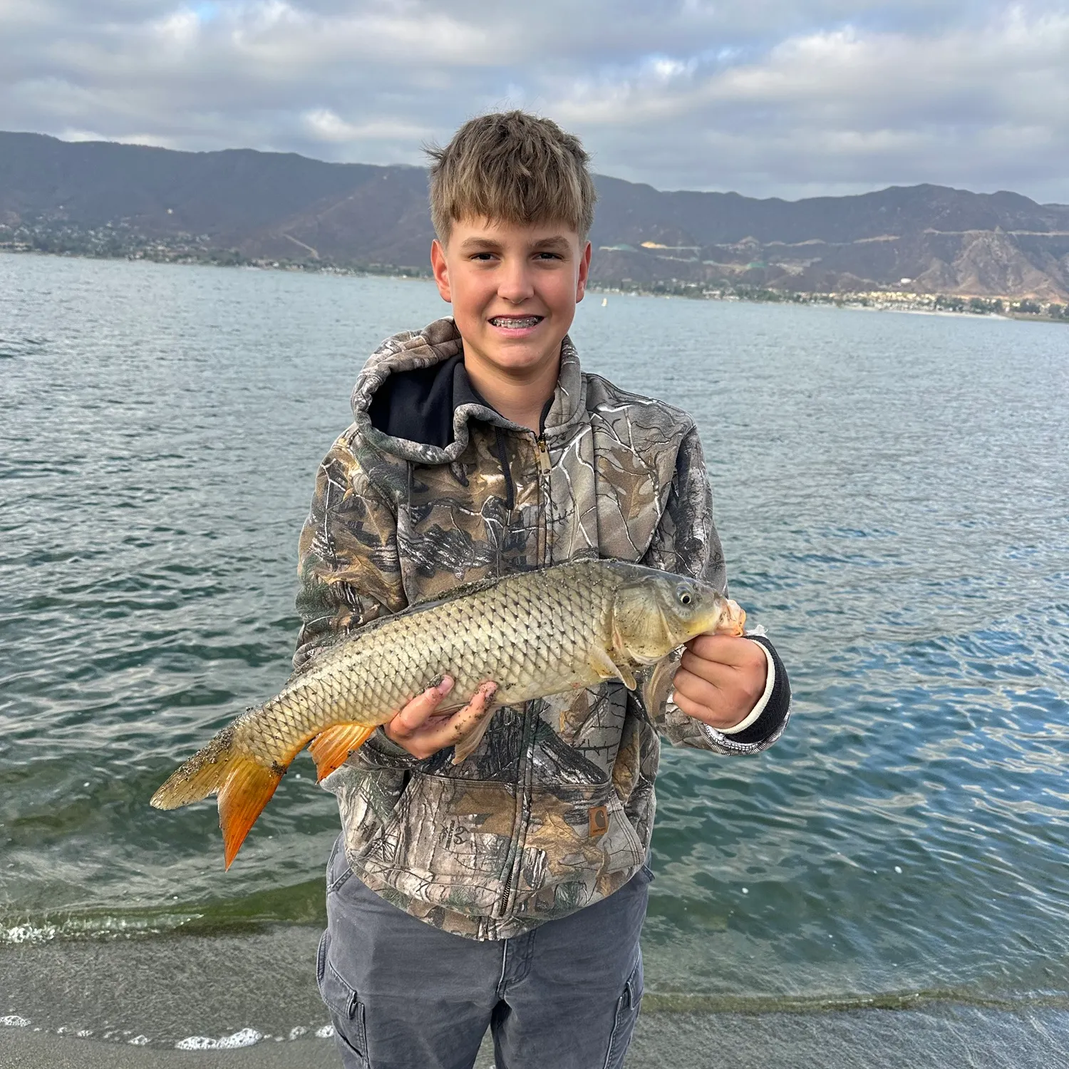 Common carp caught on Fishbrain