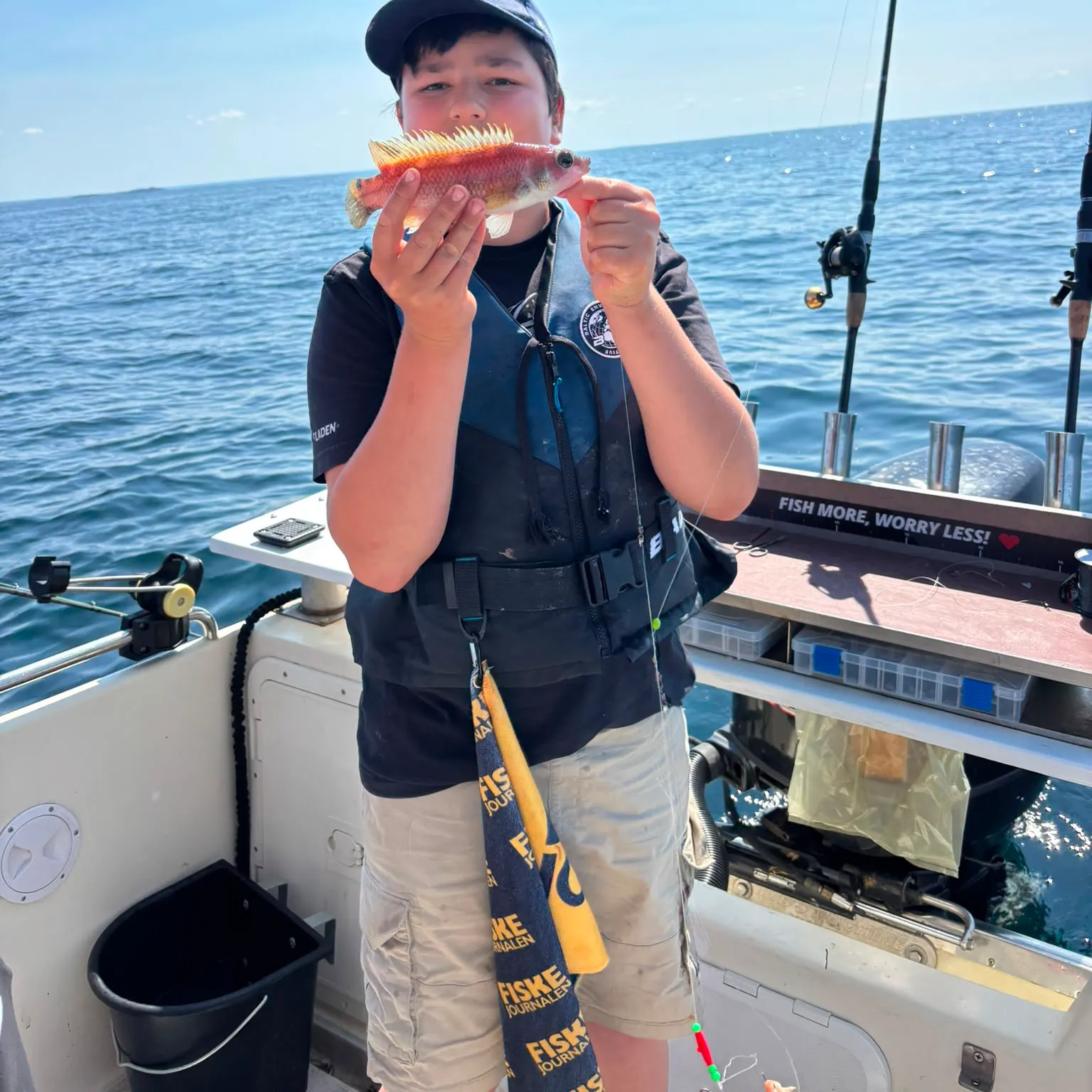 The most recent Scale-rayed wrasse catches on Fishbrain