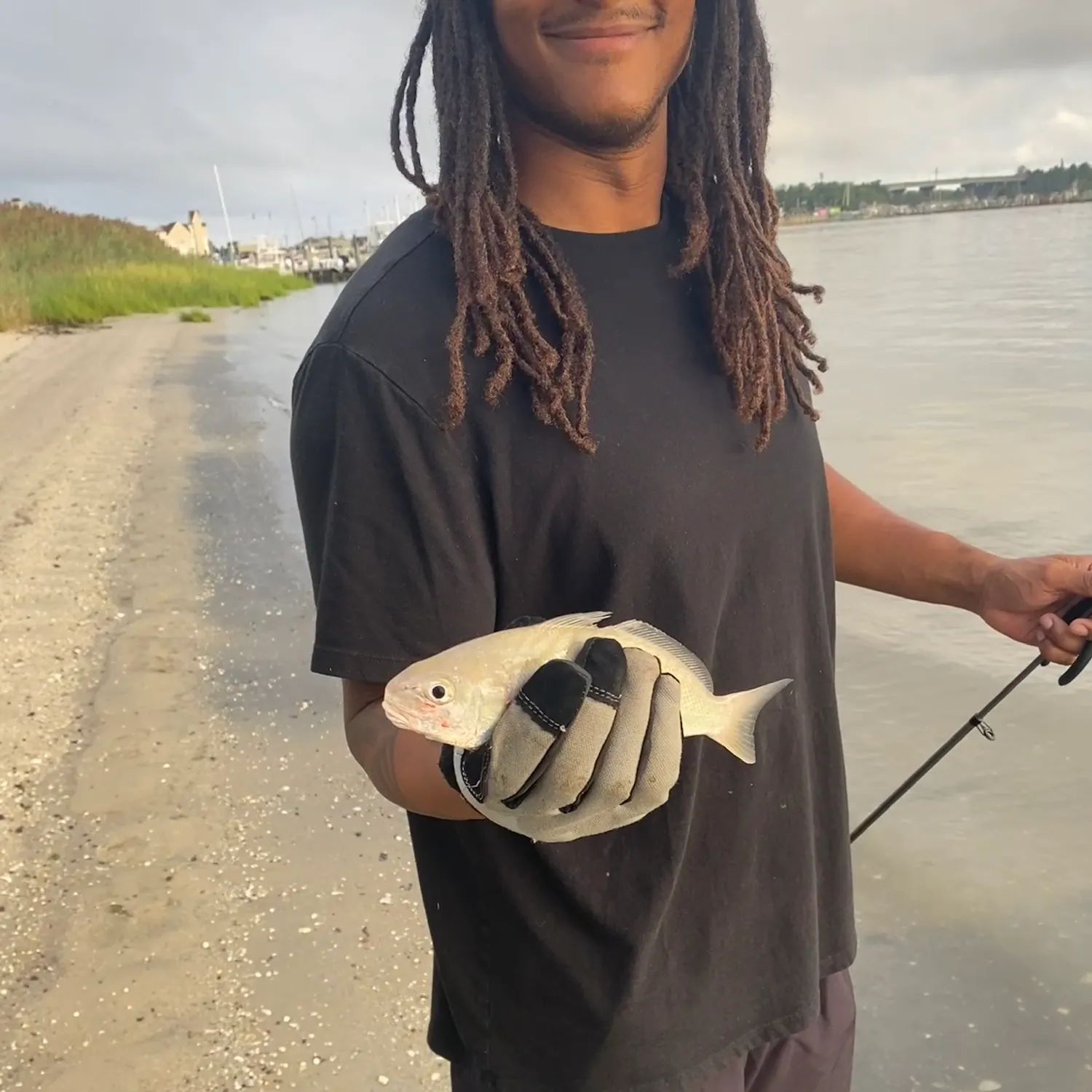 Spot croaker caught on Fishbrain