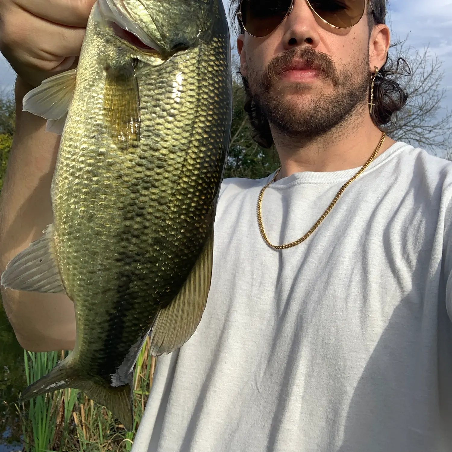 Largemouth bass caught on Fishbrain