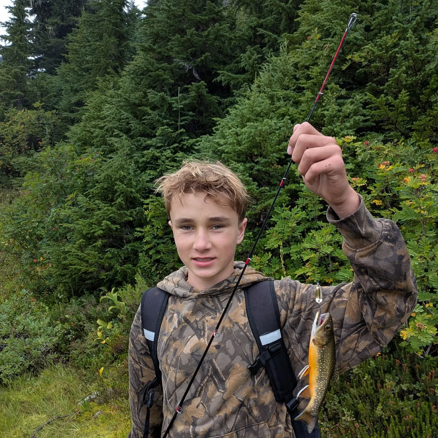 Brook trout caught on Fishbrain