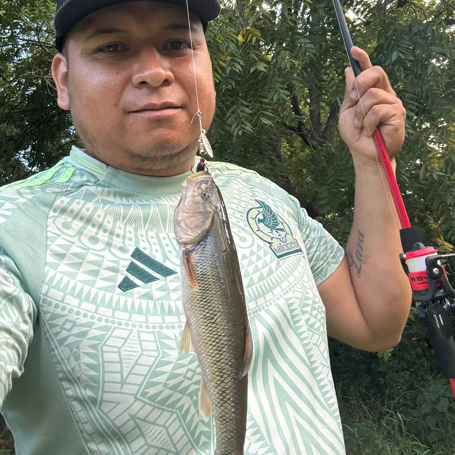 Creek chub caught on Fishbrain