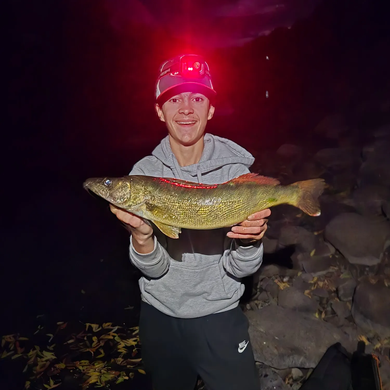 Walleye caught on Fishbrain