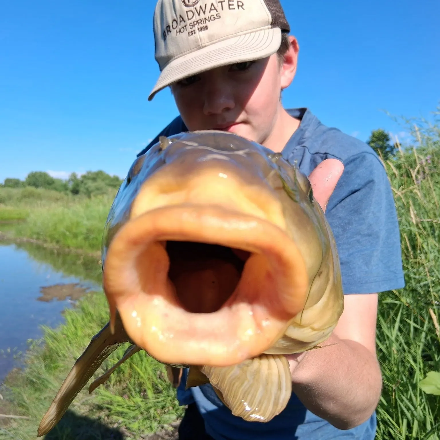 The most recent Common carp catches on Fishbrain