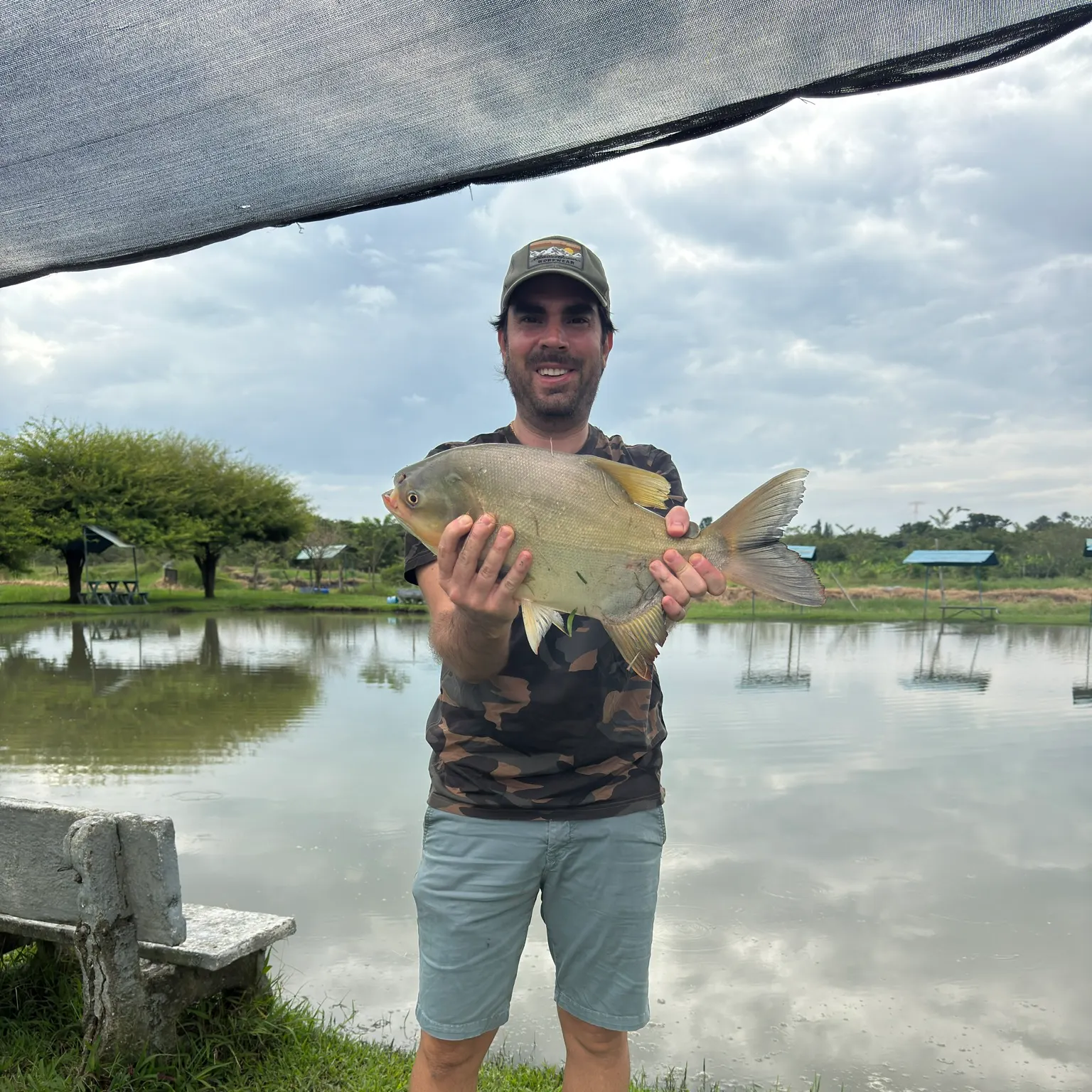 The most recent Black pacu catches on Fishbrain