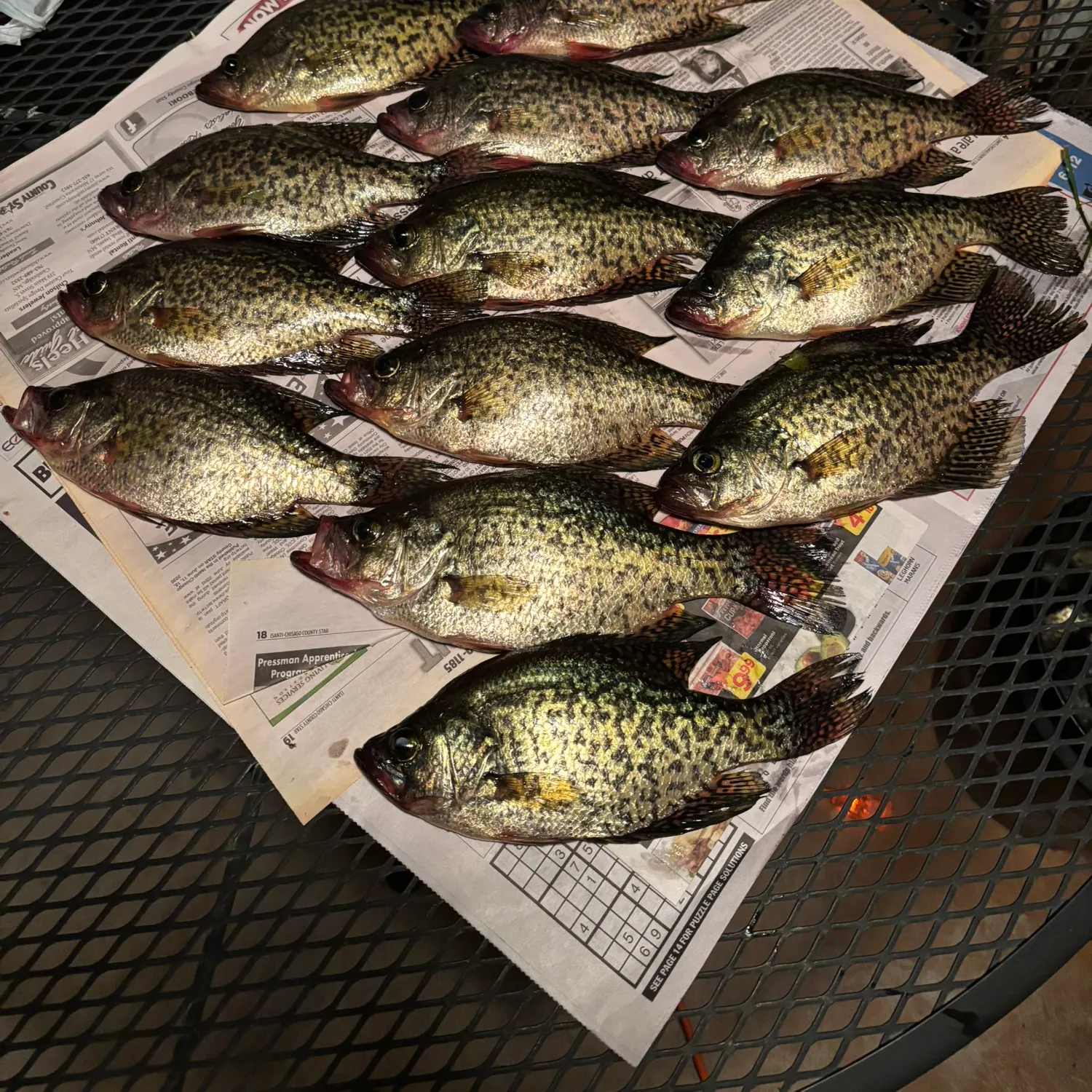 recently logged catches