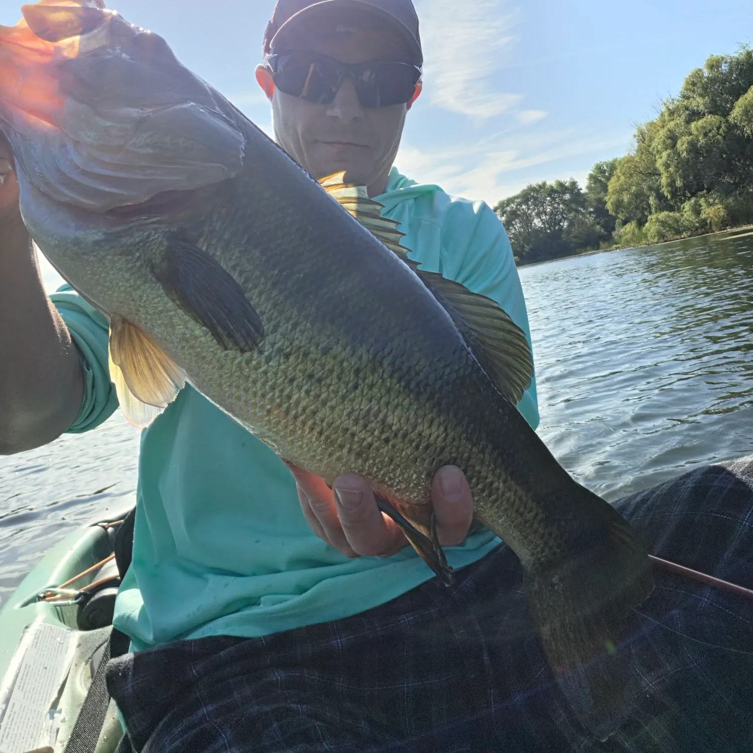 Largemouth bass caught on Fishbrain
