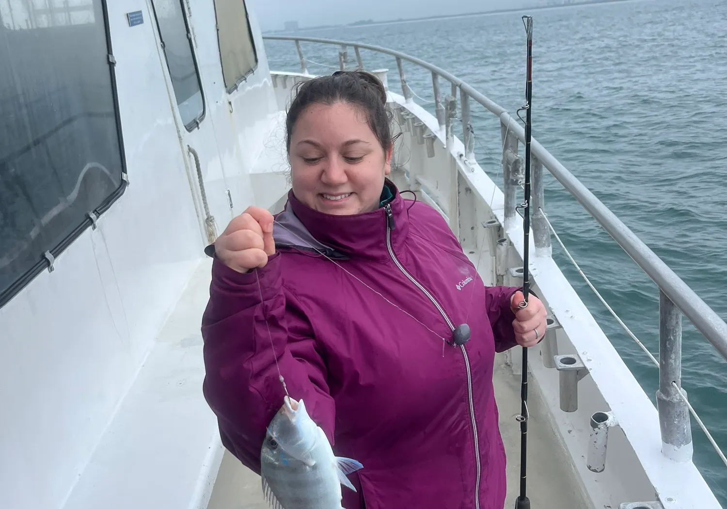 Jolthead porgy