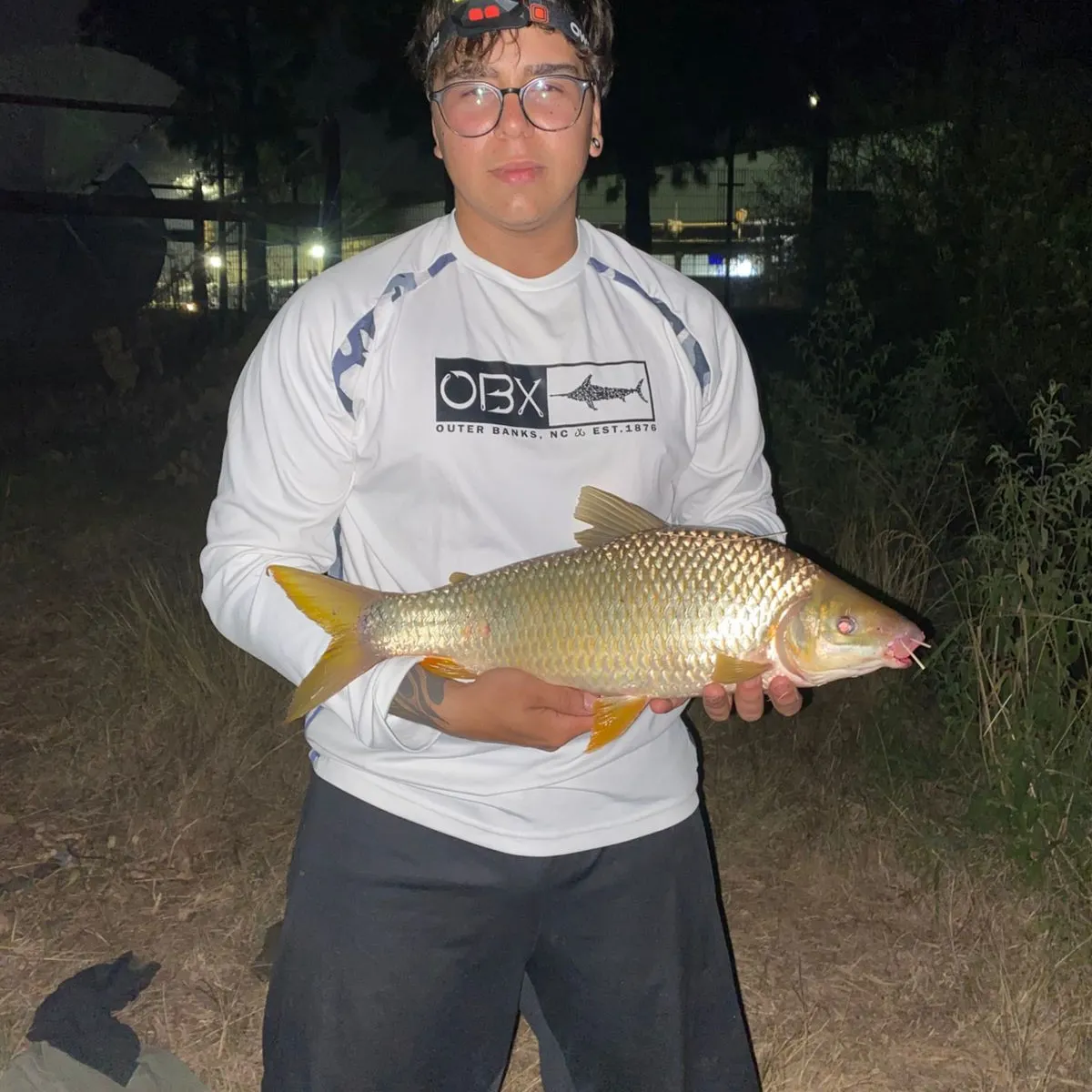 The most recent Boga catches on Fishbrain