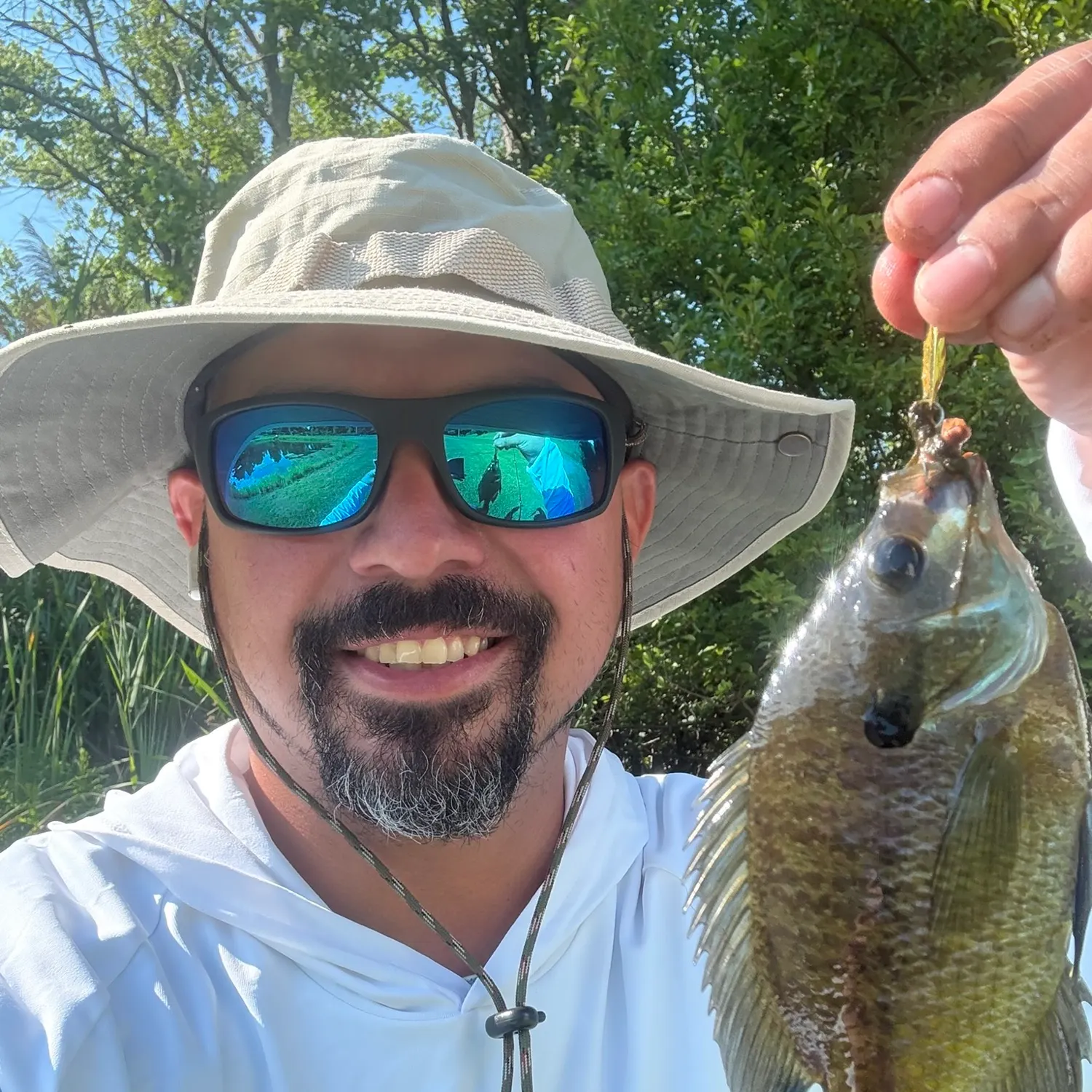 Bluegill caught on Fishbrain