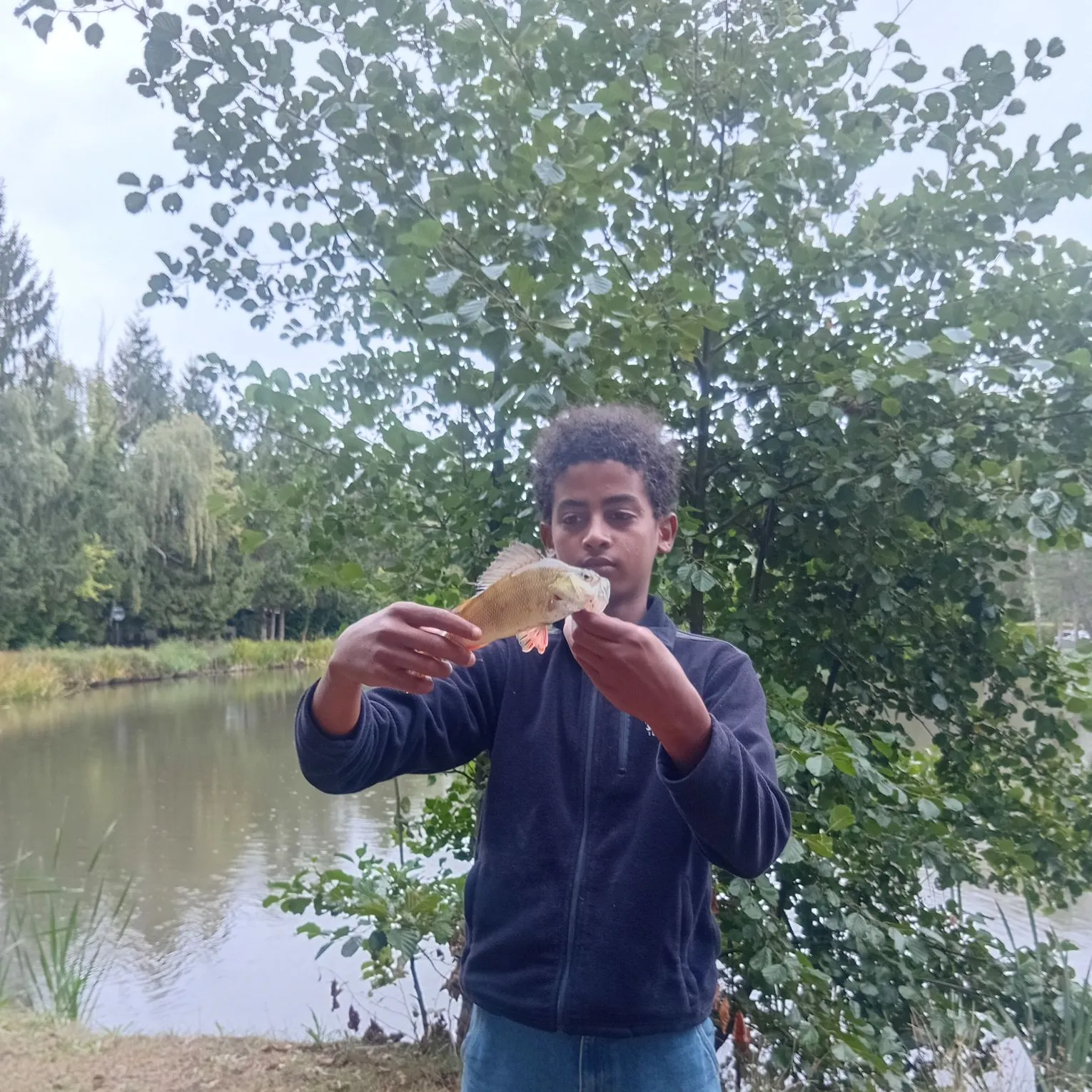 Northern pike caught on Fishbrain