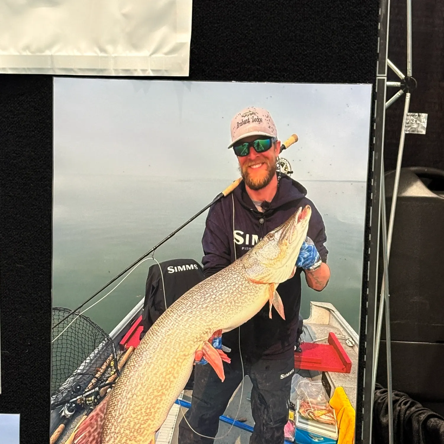 The most recent Atlantic goliath grouper catches on Fishbrain