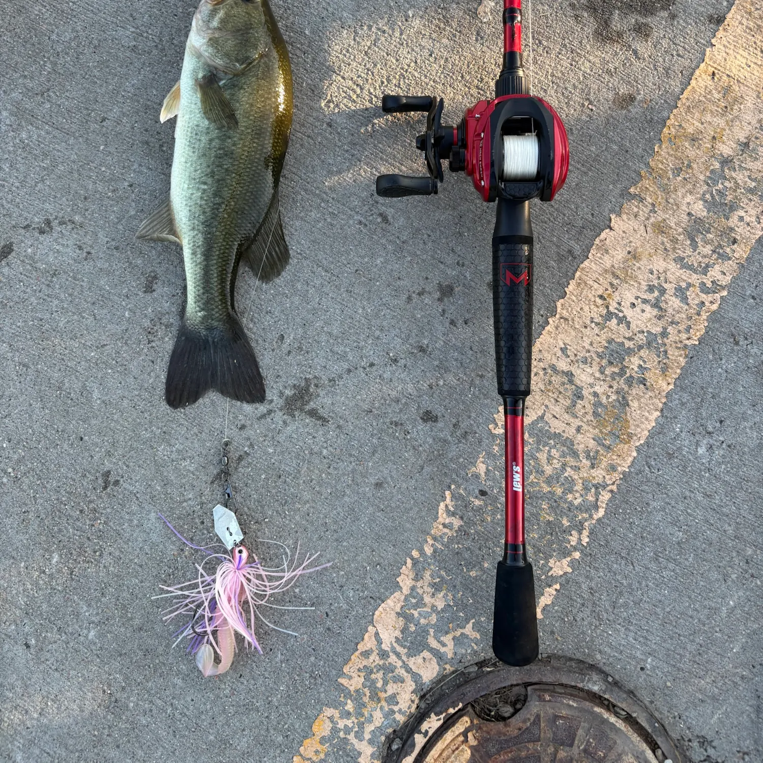 Largemouth bass caught on Fishbrain