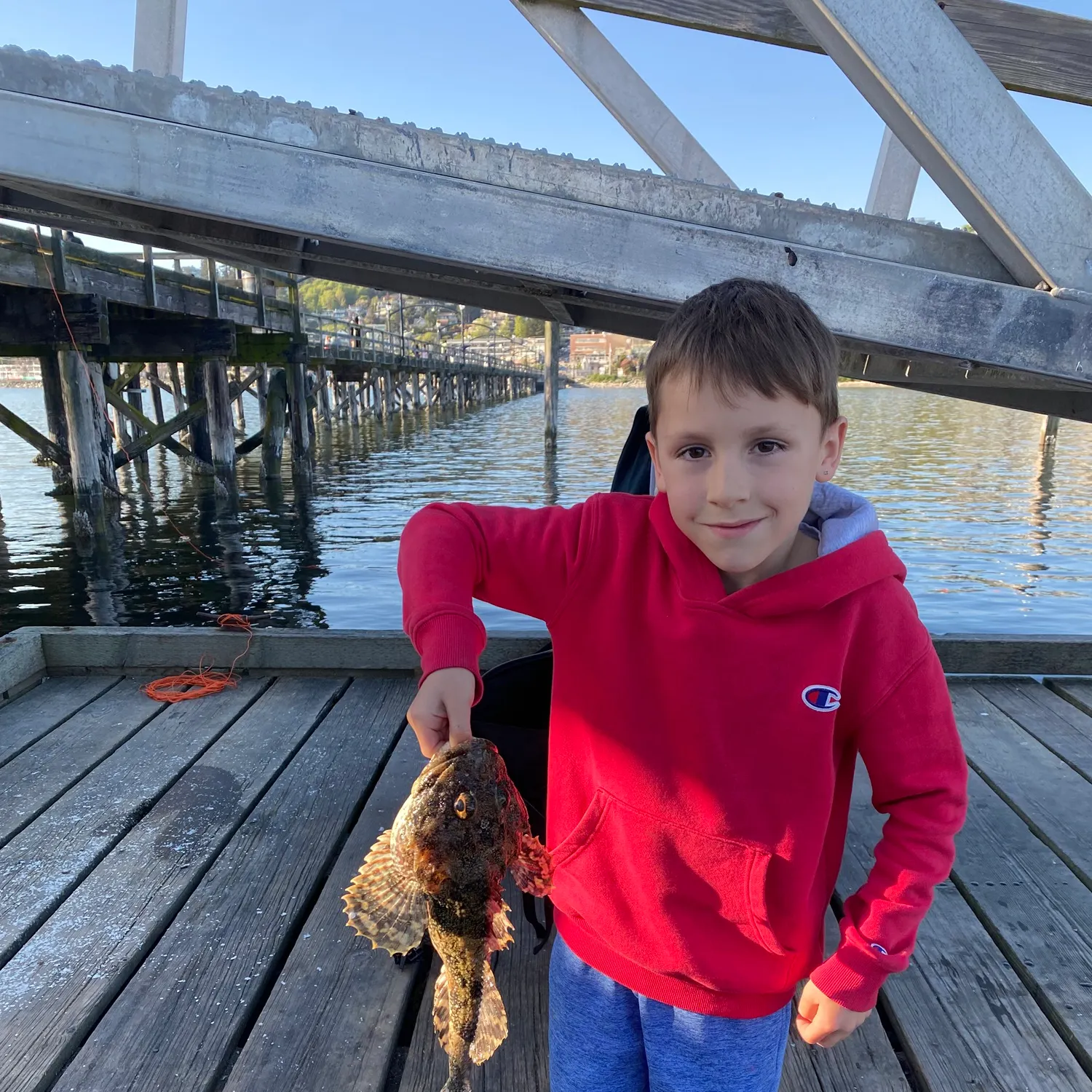 The most recent Great sculpin catches on Fishbrain