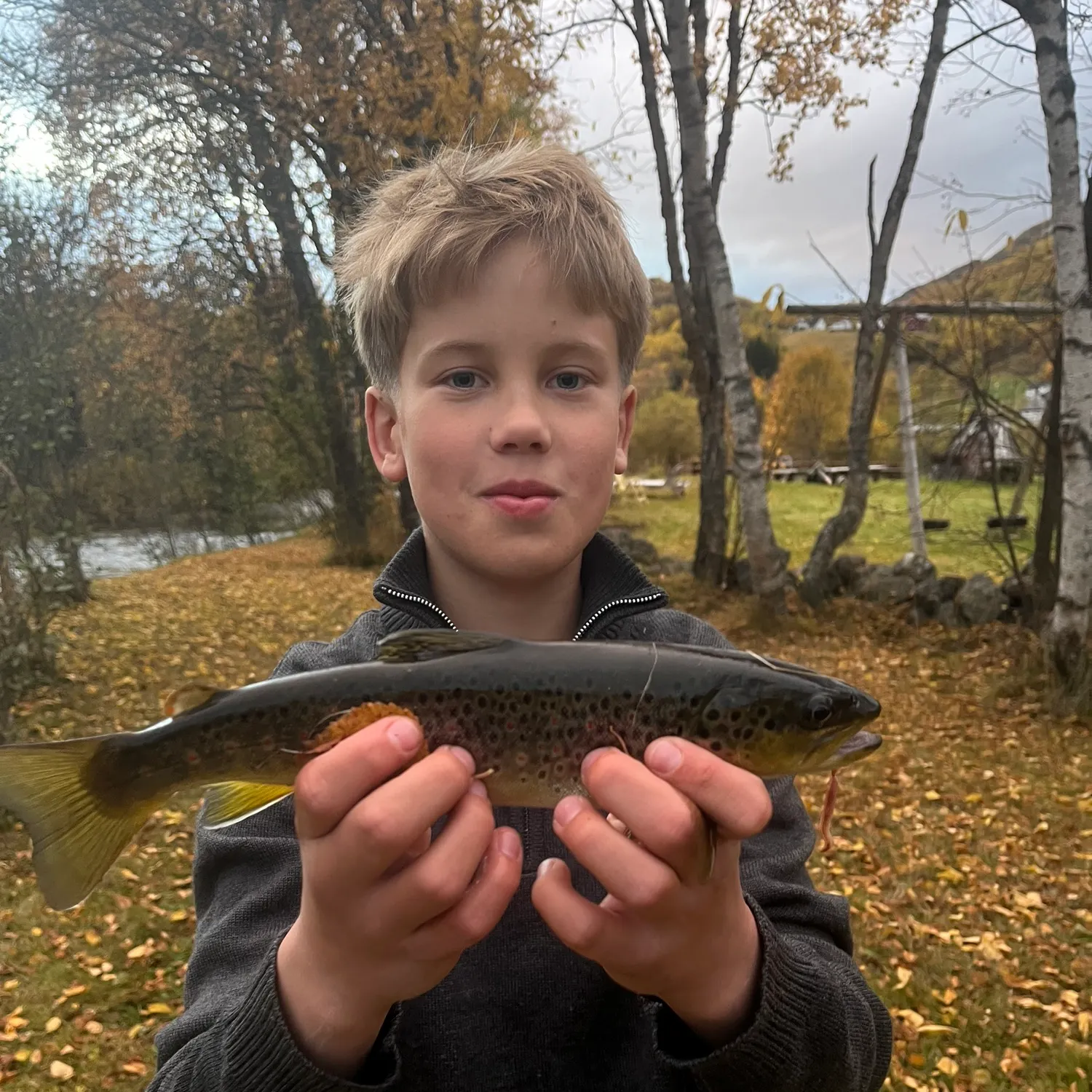 Brown trout caught on Fishbrain