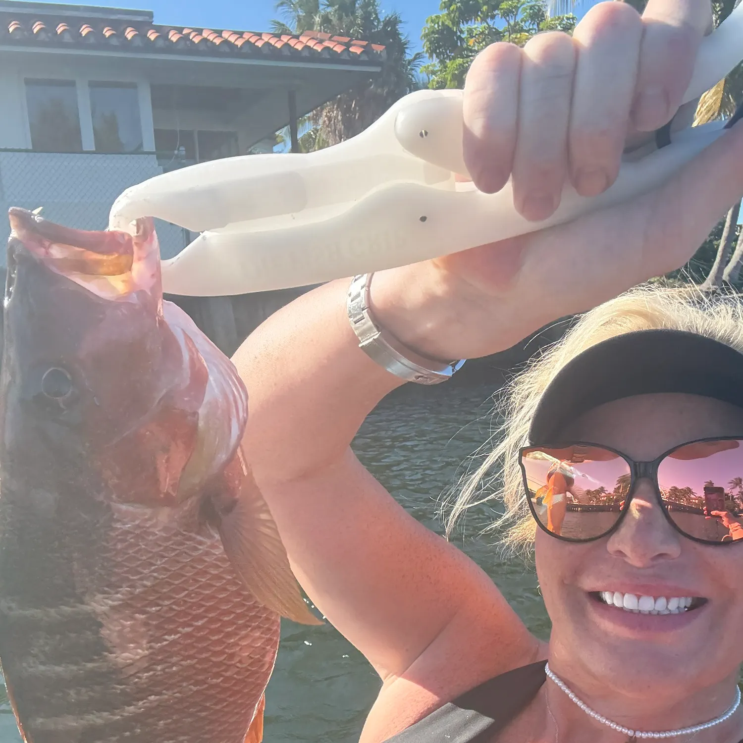 The most recent Dog Snapper catches on Fishbrain