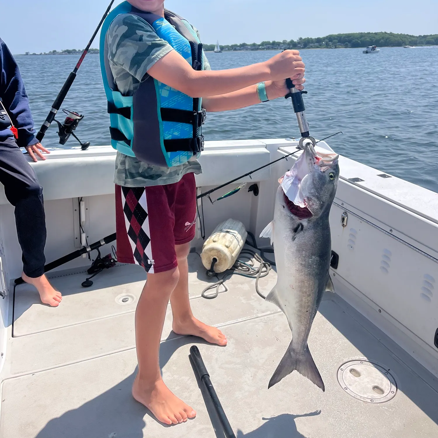The most recent Bluefish catches on Fishbrain