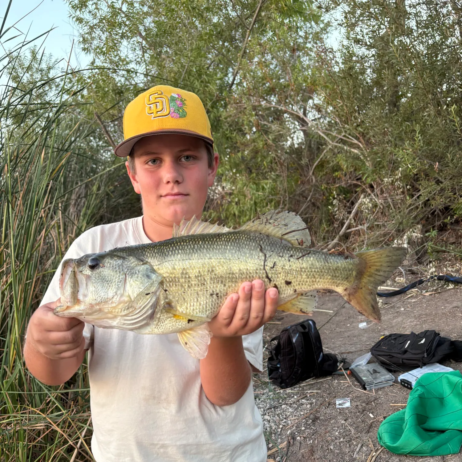 Largemouth bass caught on Fishbrain