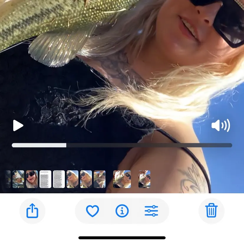 recently logged catches
