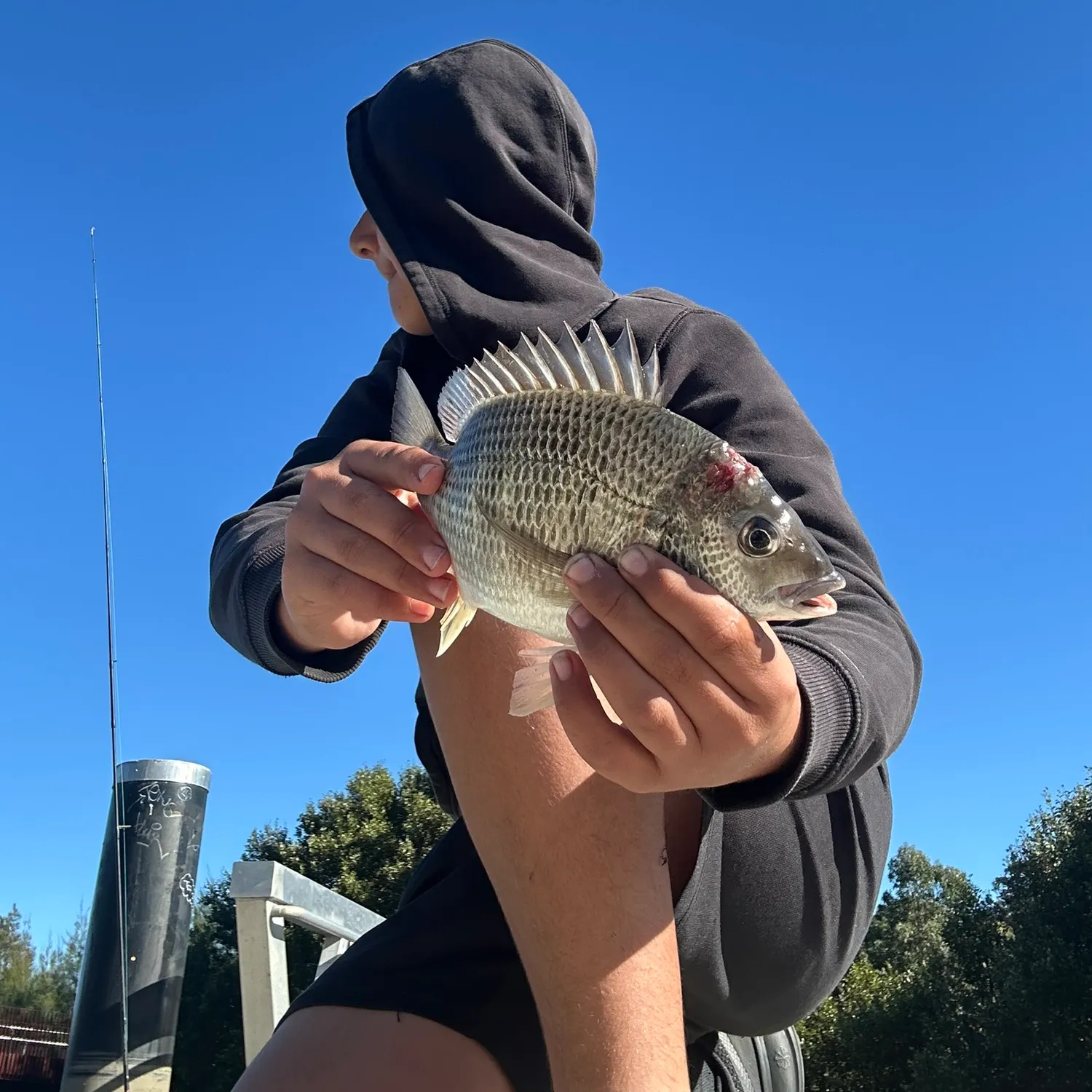 catch