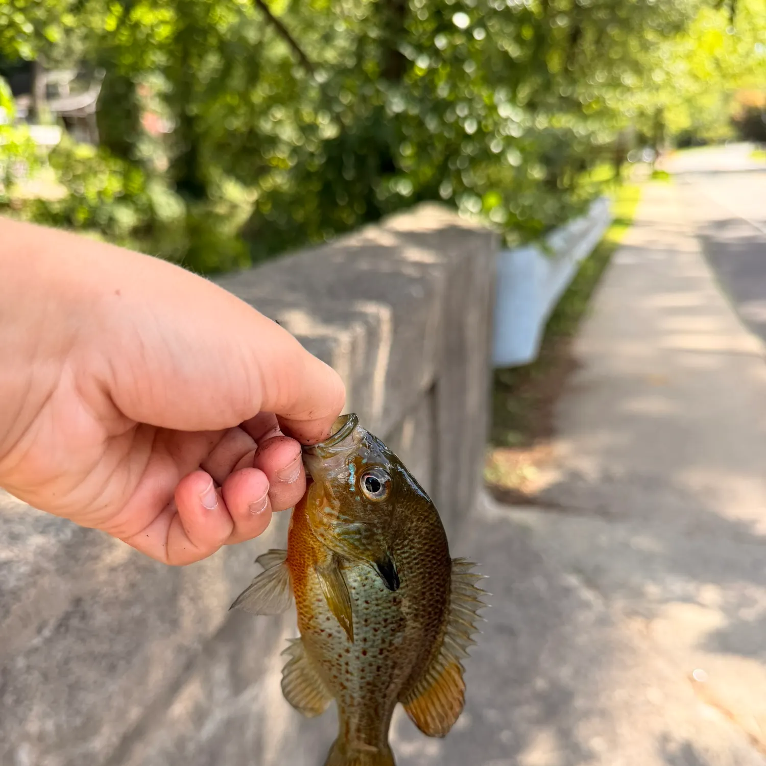 catch
