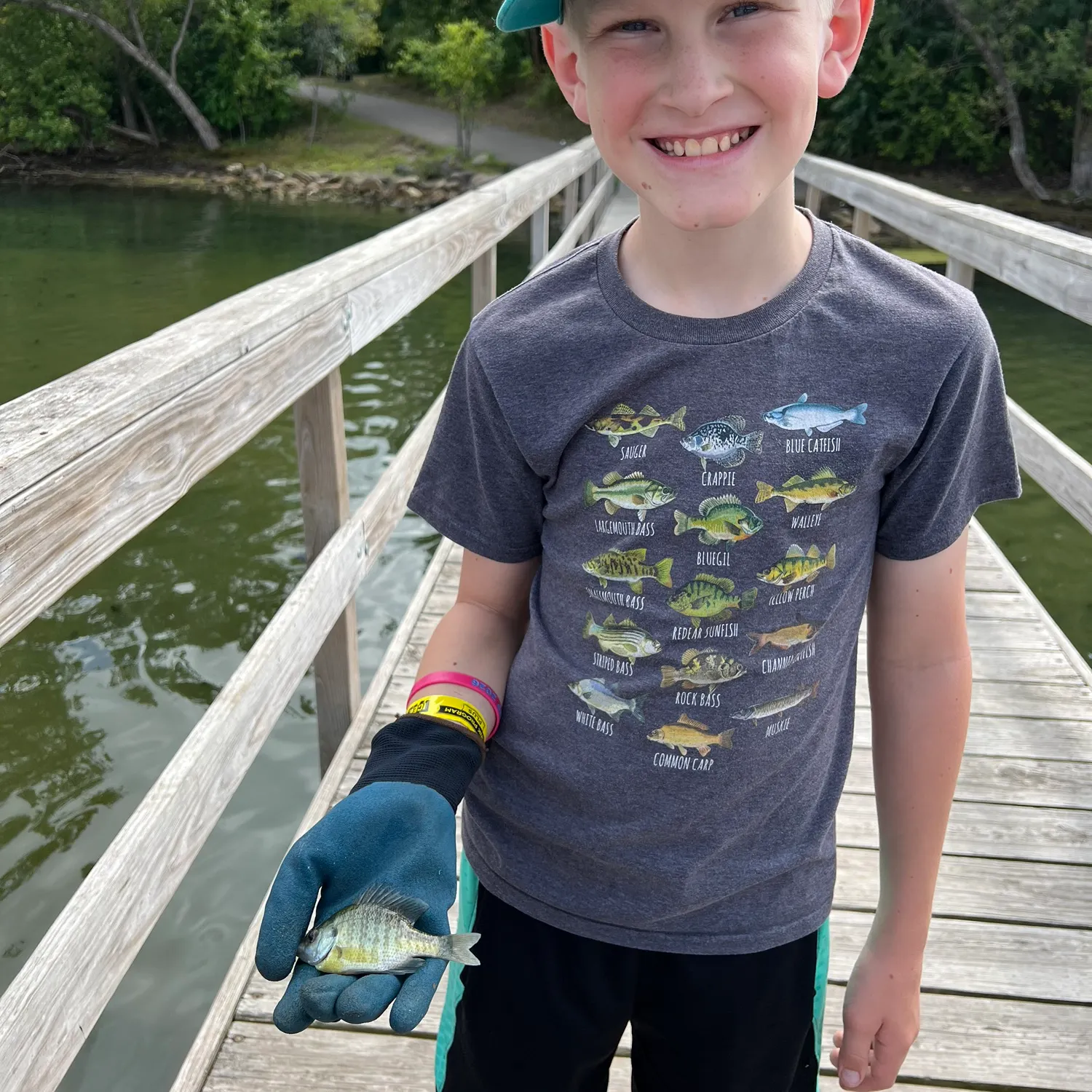 Bluegill caught on Fishbrain