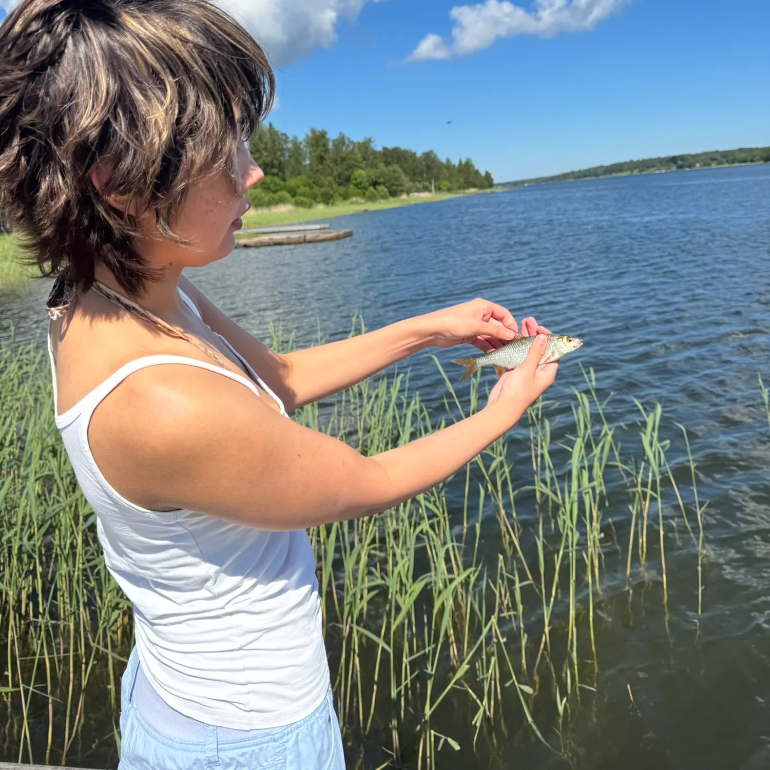 The most recent Common roach catches on Fishbrain