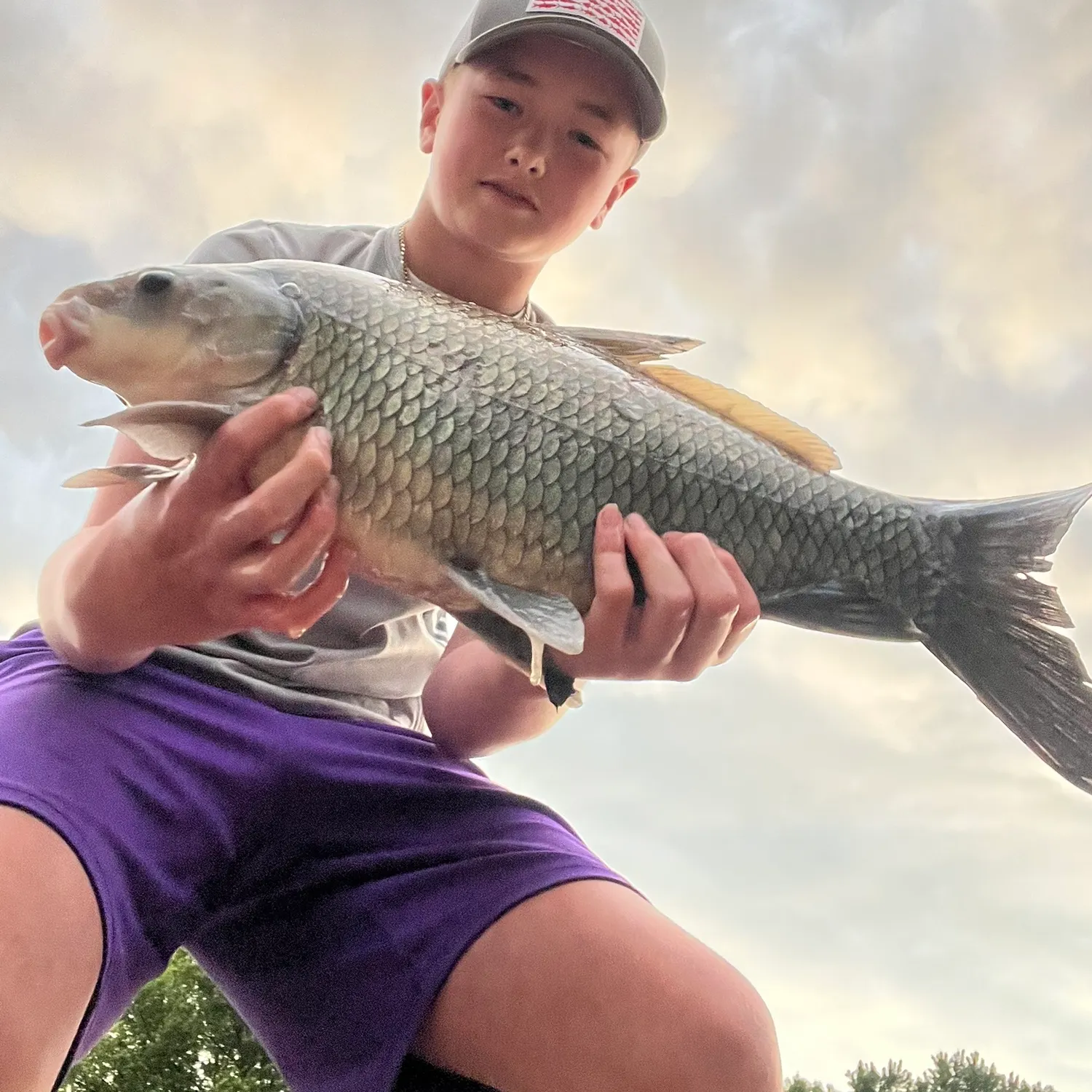 most liked catch image