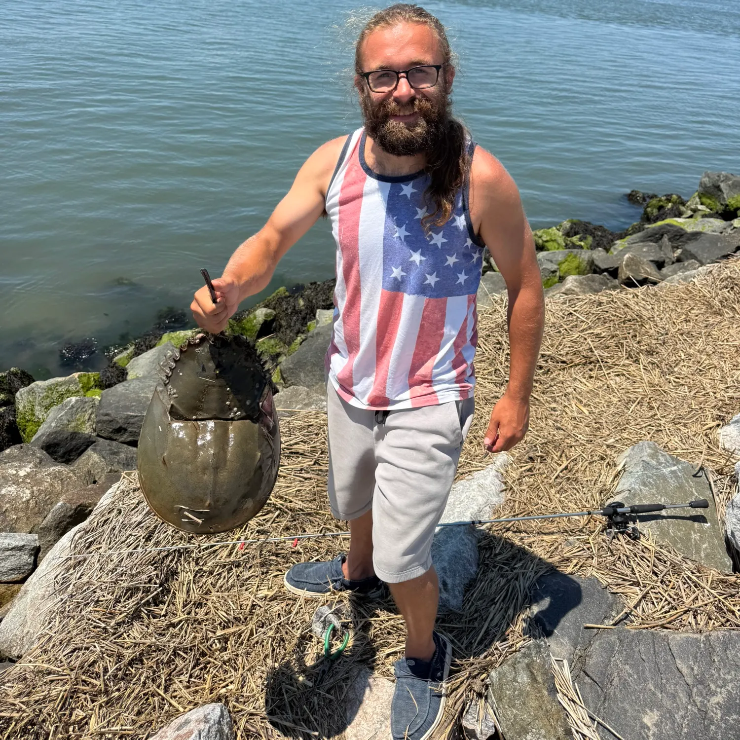 The most recent Atlantic horseshoe crab catches on Fishbrain