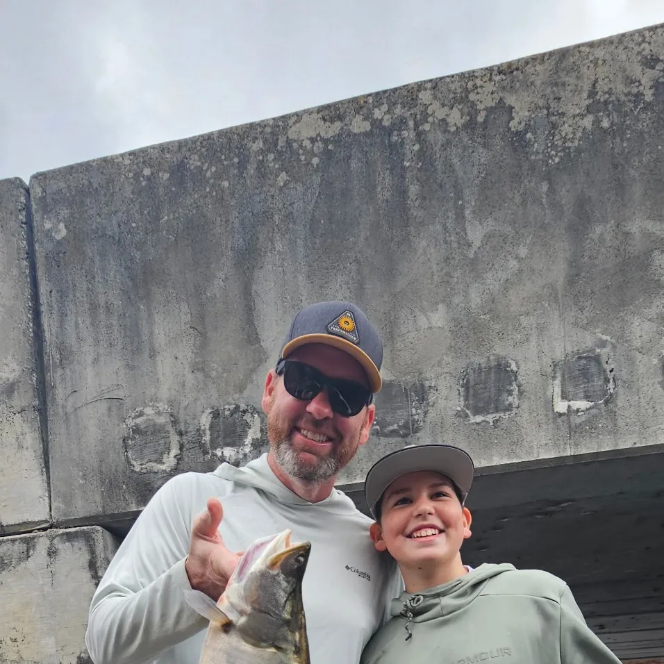 The most recent Clown knifefish catches on Fishbrain