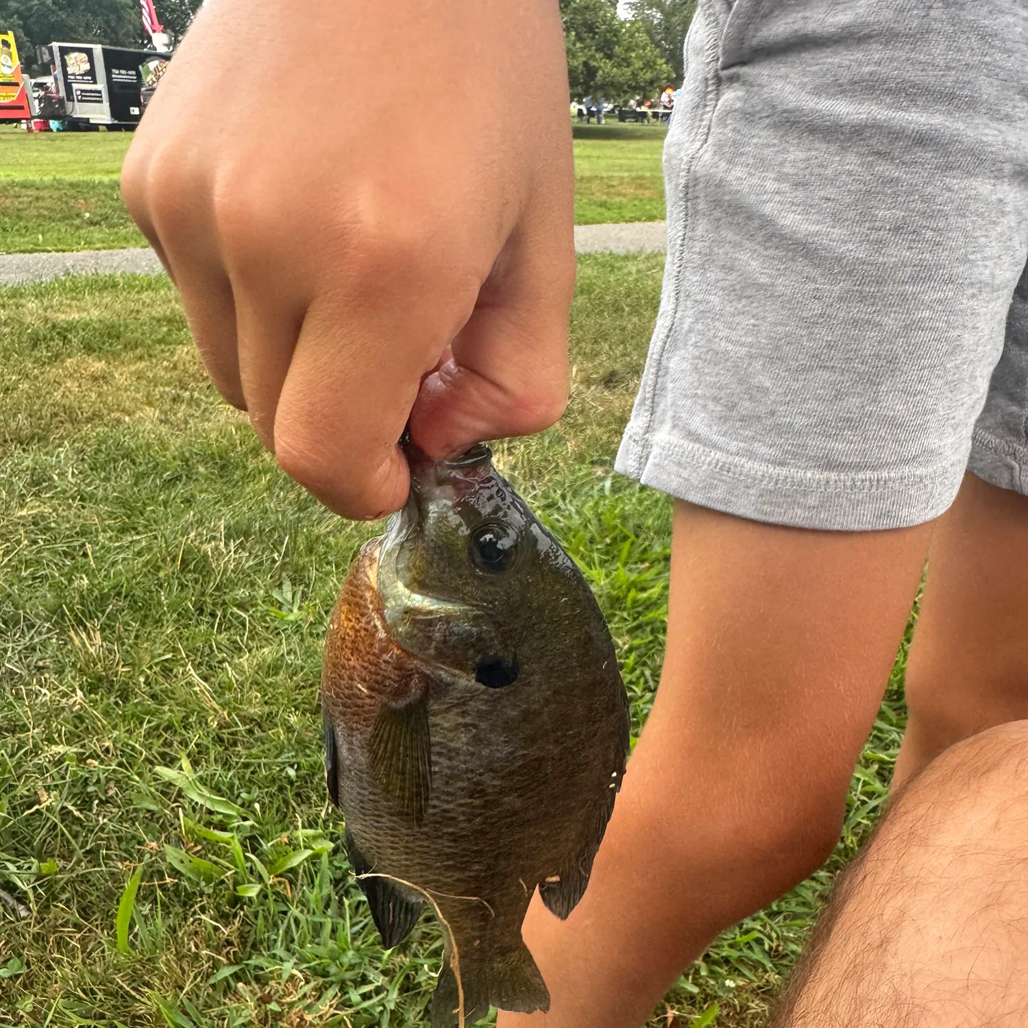 catch