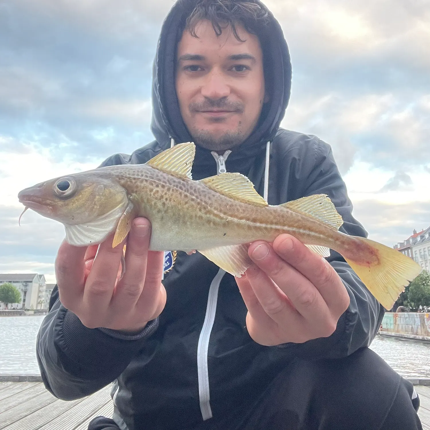 The most recent Atlantic cod catches on Fishbrain
