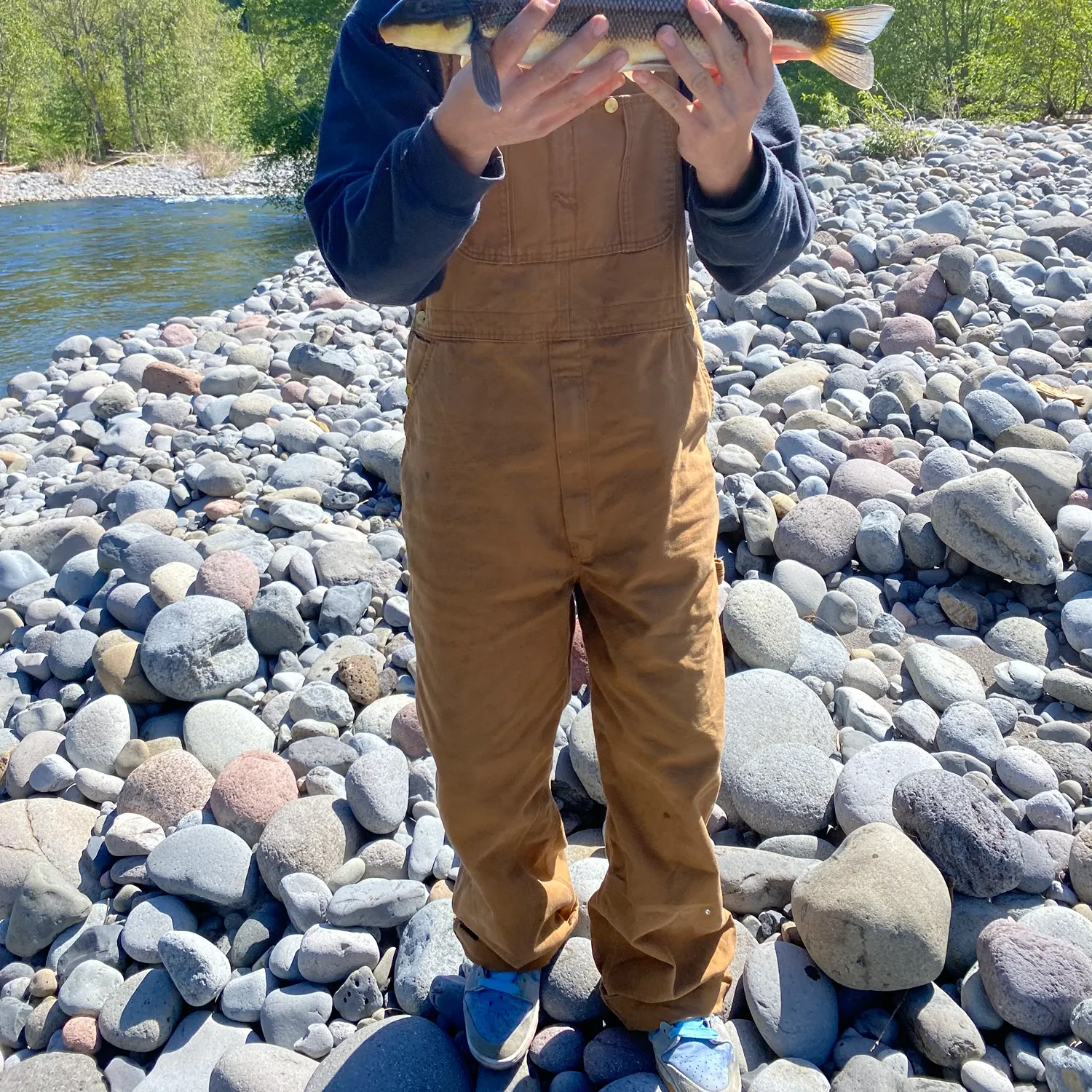 The most recent Largescale sucker catches on Fishbrain