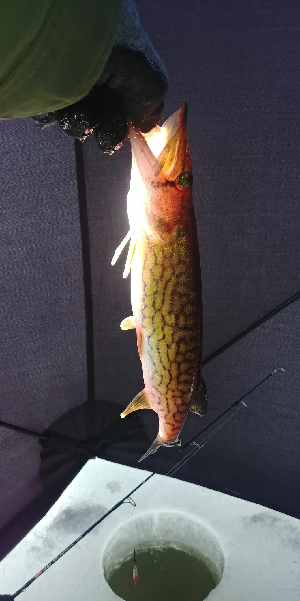 Post image from B-ROCKIN