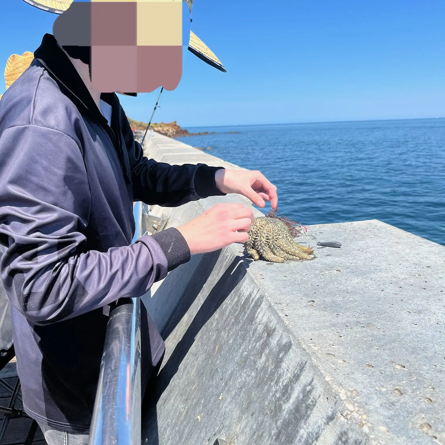 The most recent Florida stone crab catches on Fishbrain