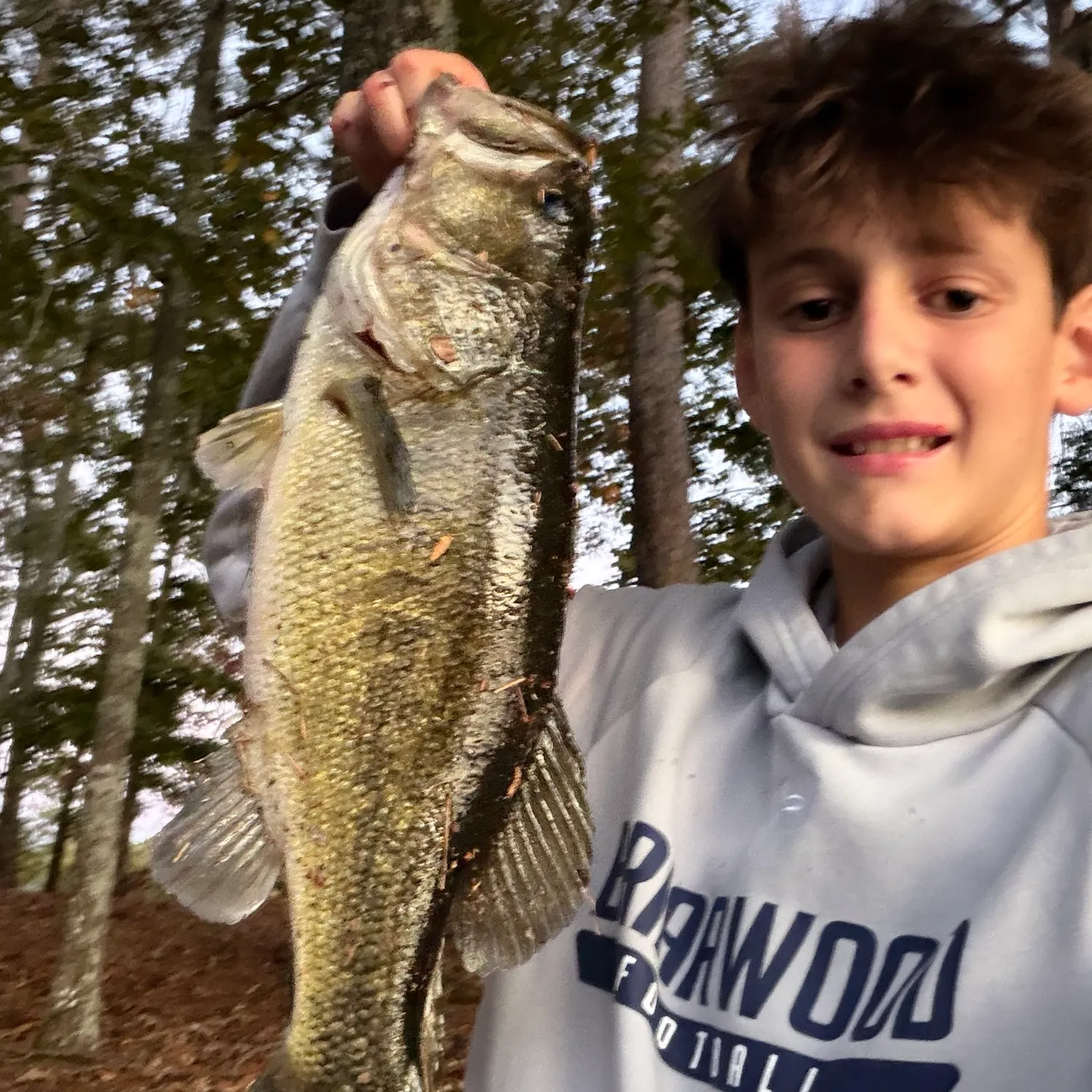 Largemouth bass caught on Fishbrain