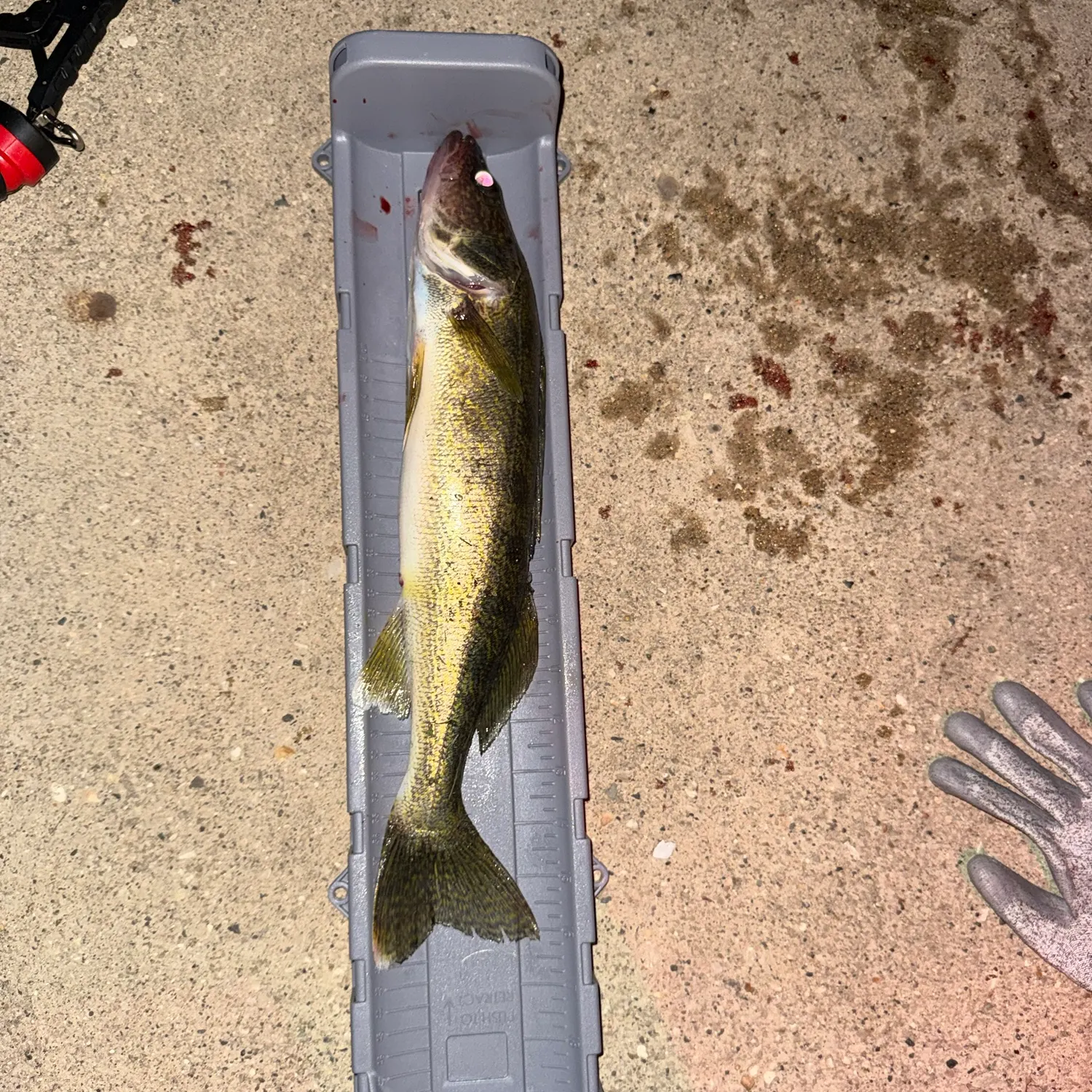 catch
