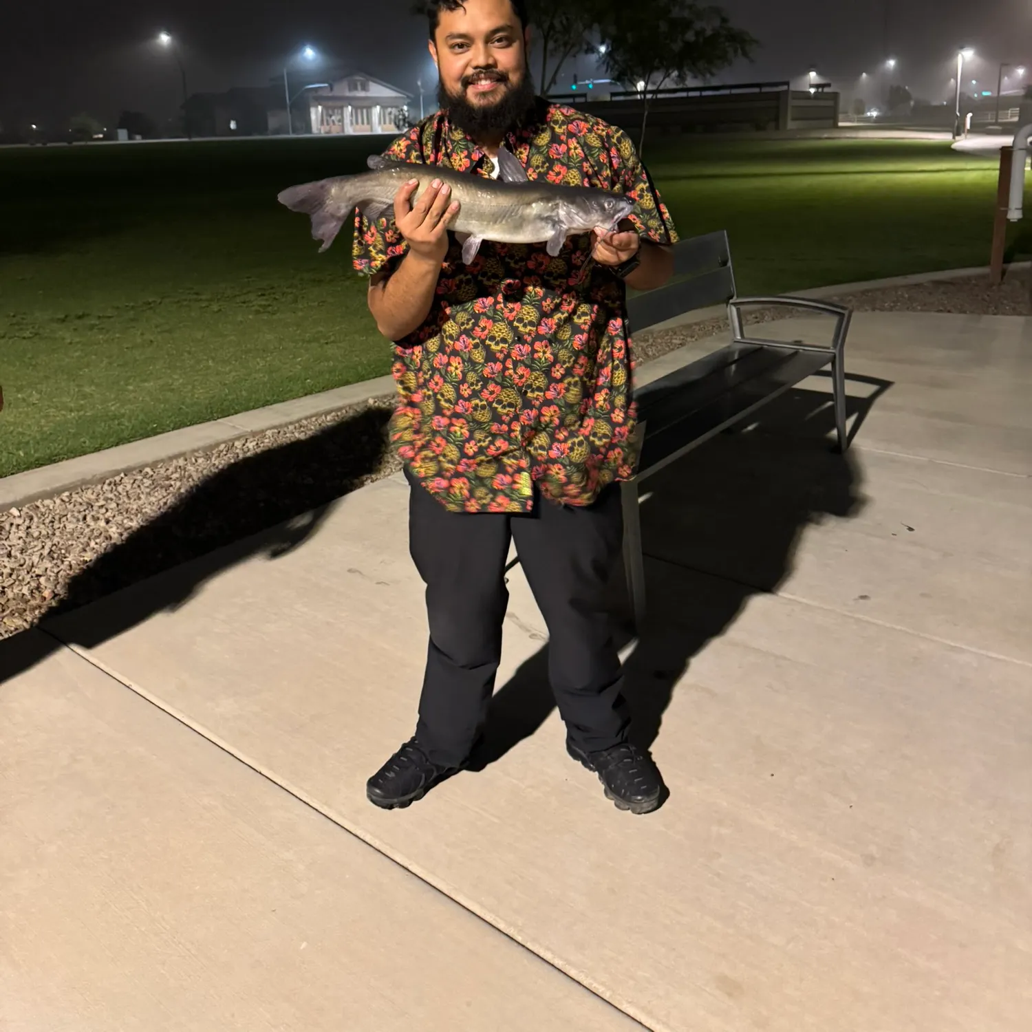 Channel catfish caught on Fishbrain
