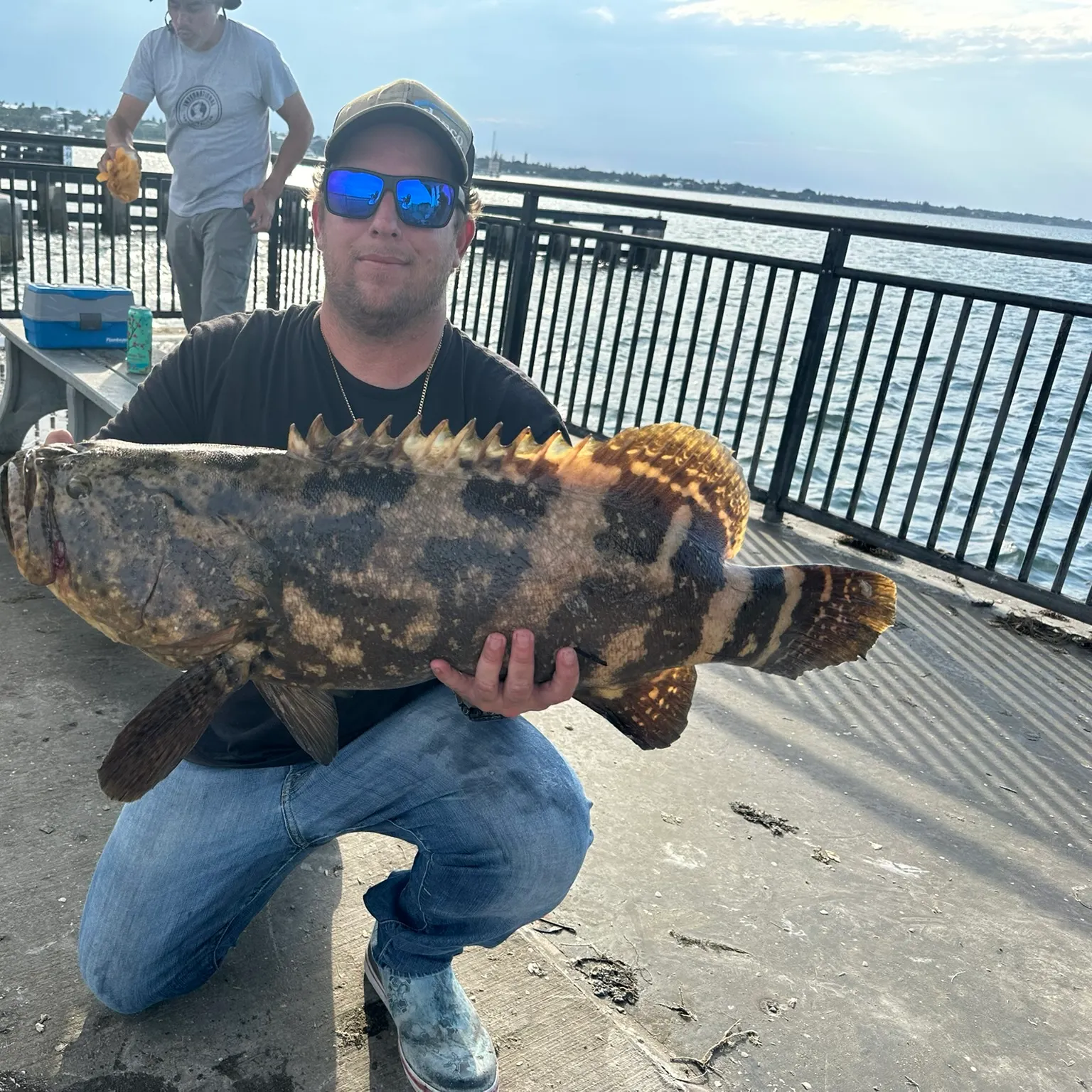 The most recent Atlantic goliath grouper catches on Fishbrain