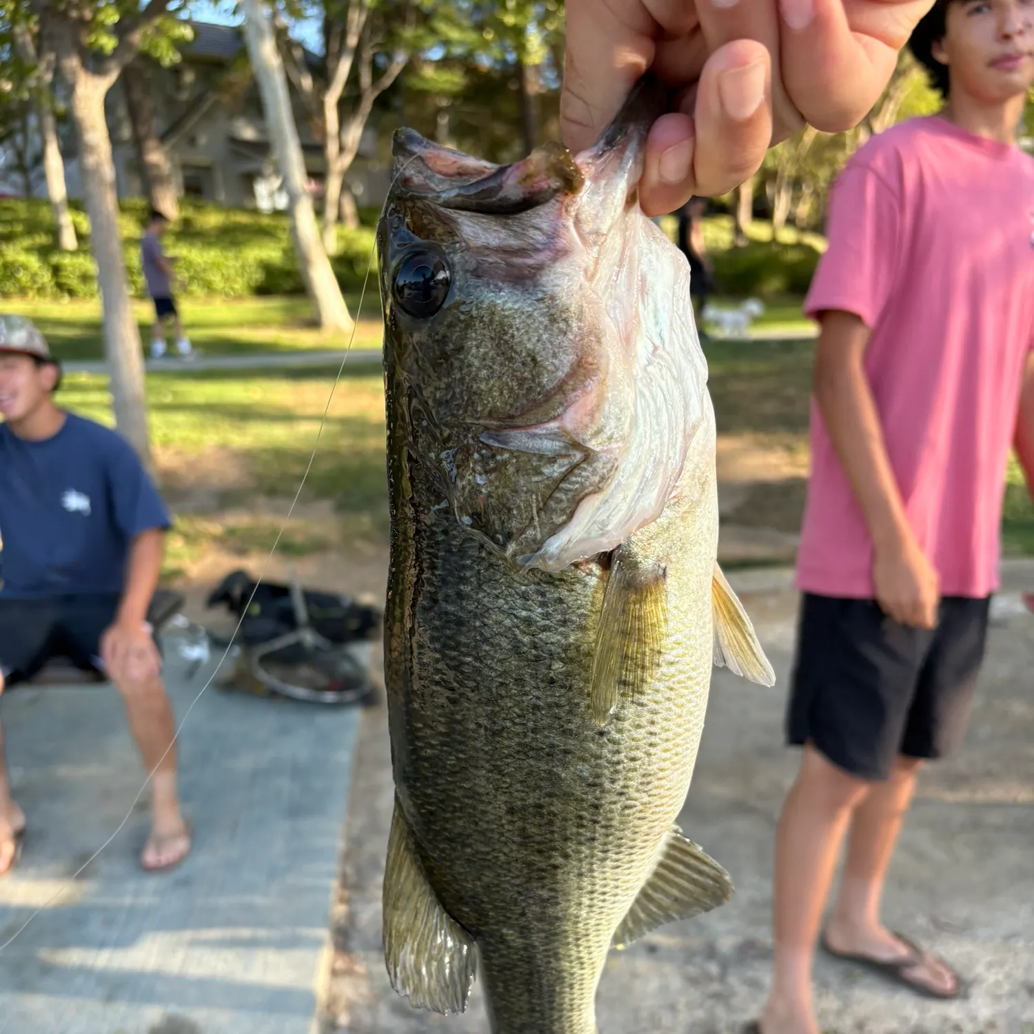 catch