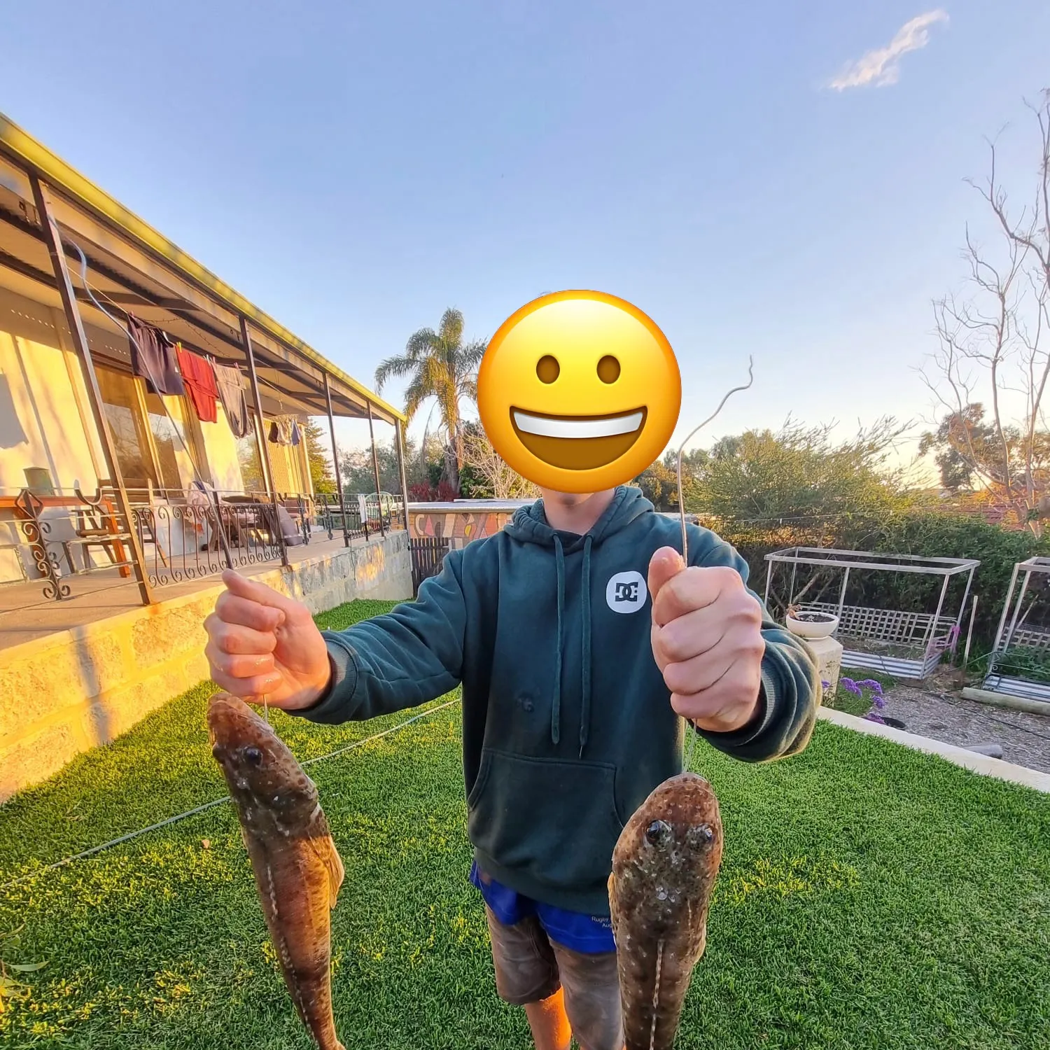 Bartail flathead caught on Fishbrain