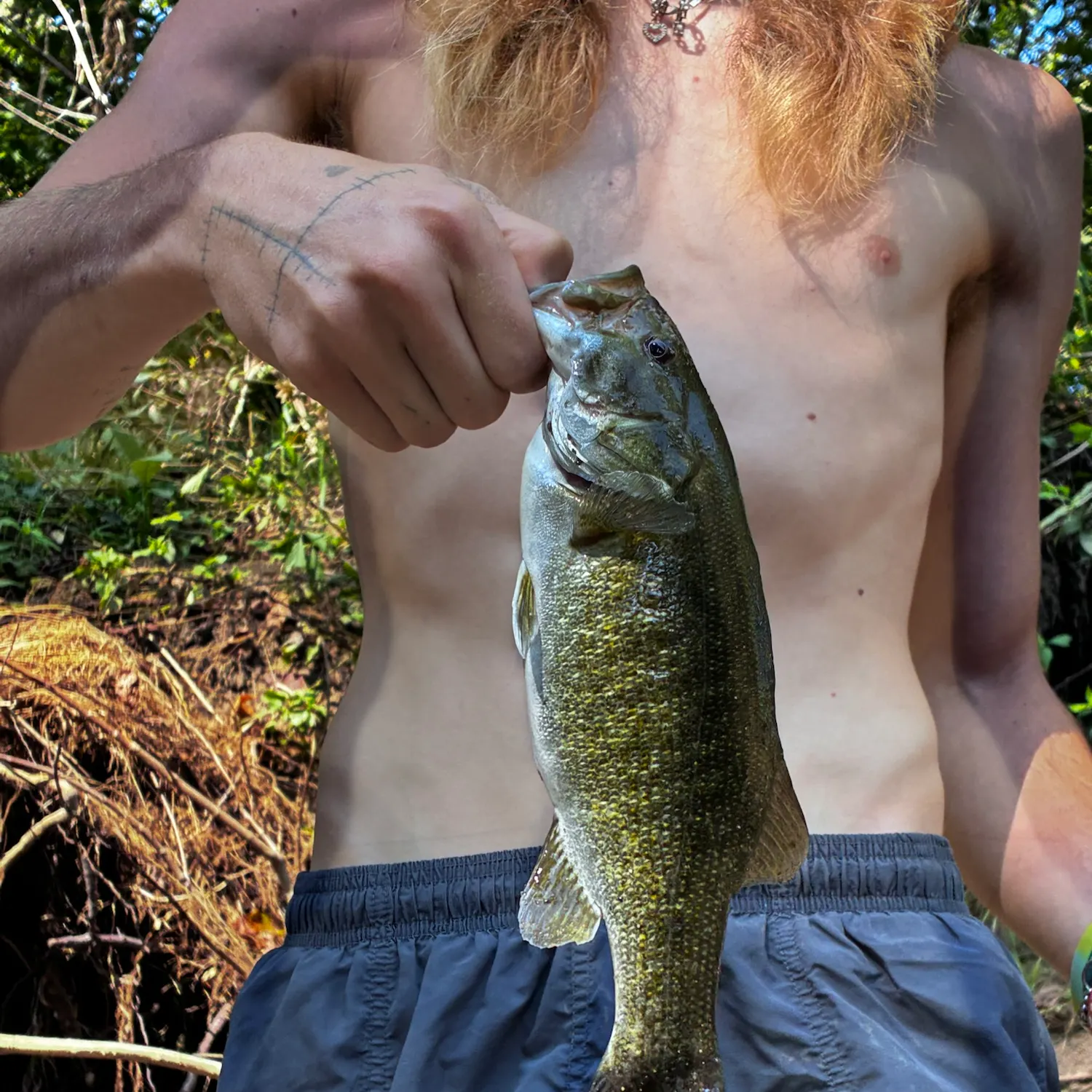 Smallmouth bass caught on Fishbrain