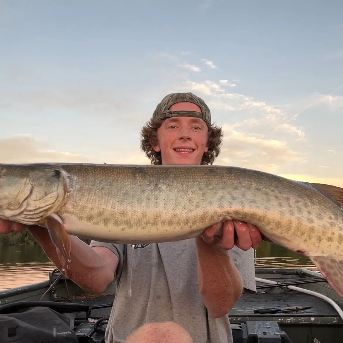 Muskie caught on Fishbrain