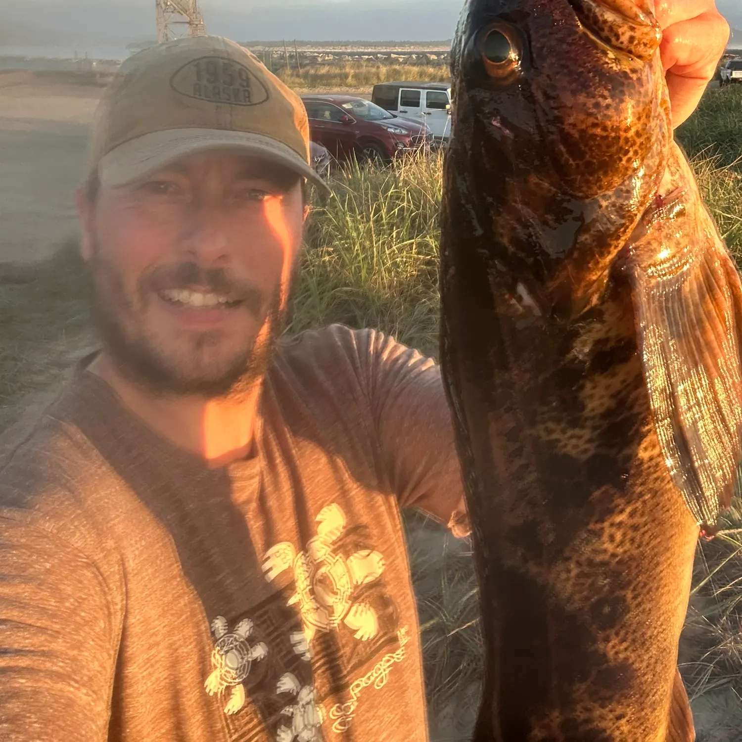 Lingcod caught on Fishbrain