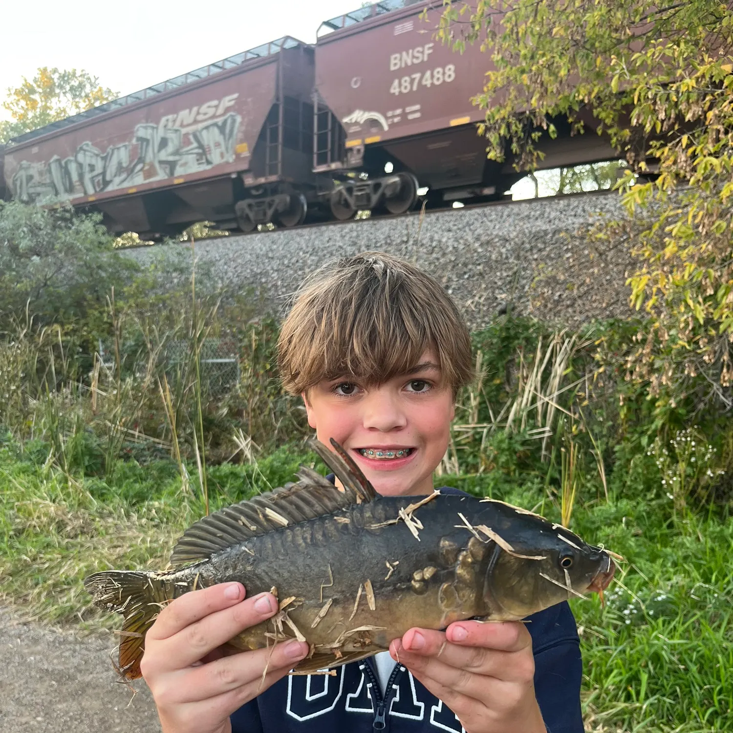 Mirror carp caught on Fishbrain