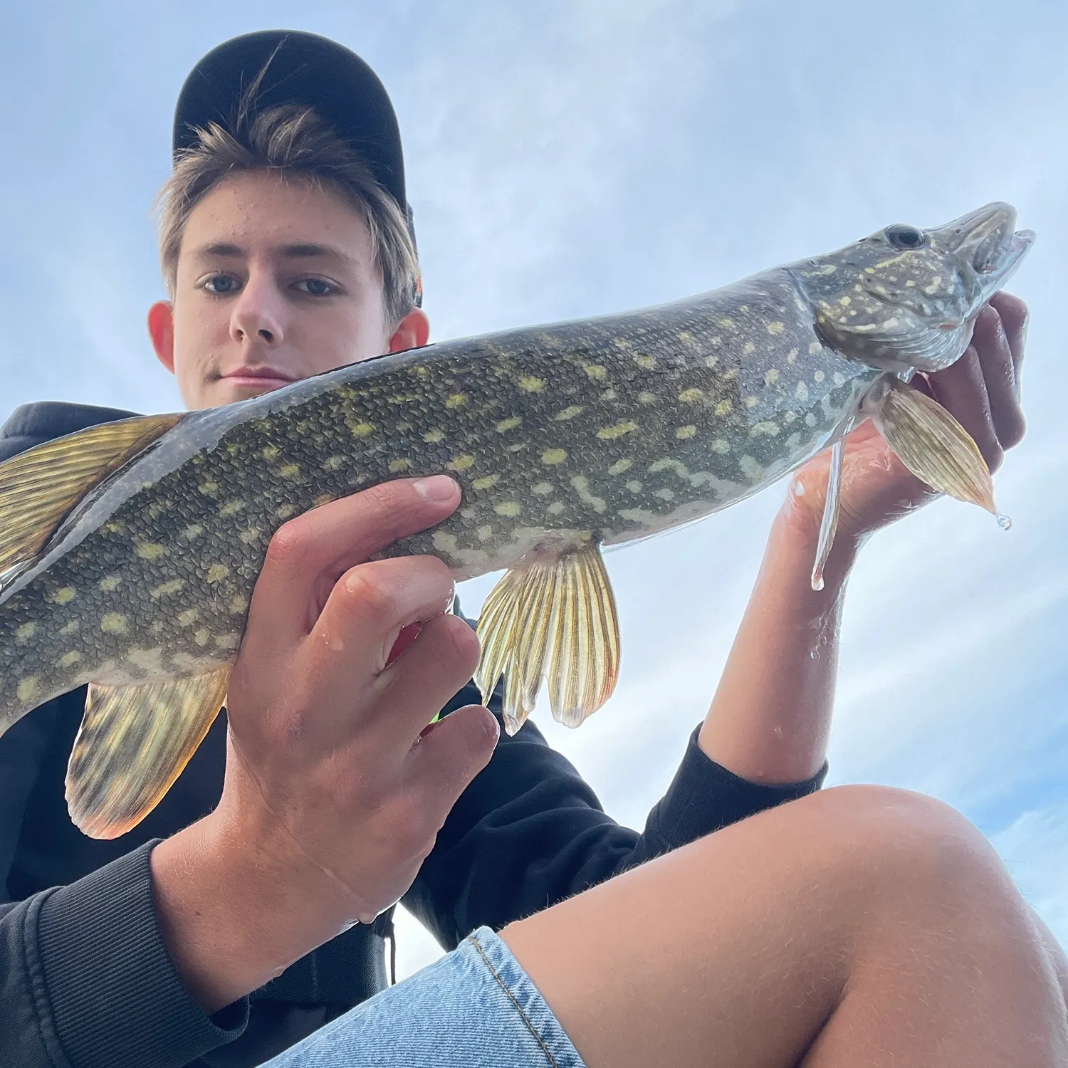 Northern pike caught on Fishbrain