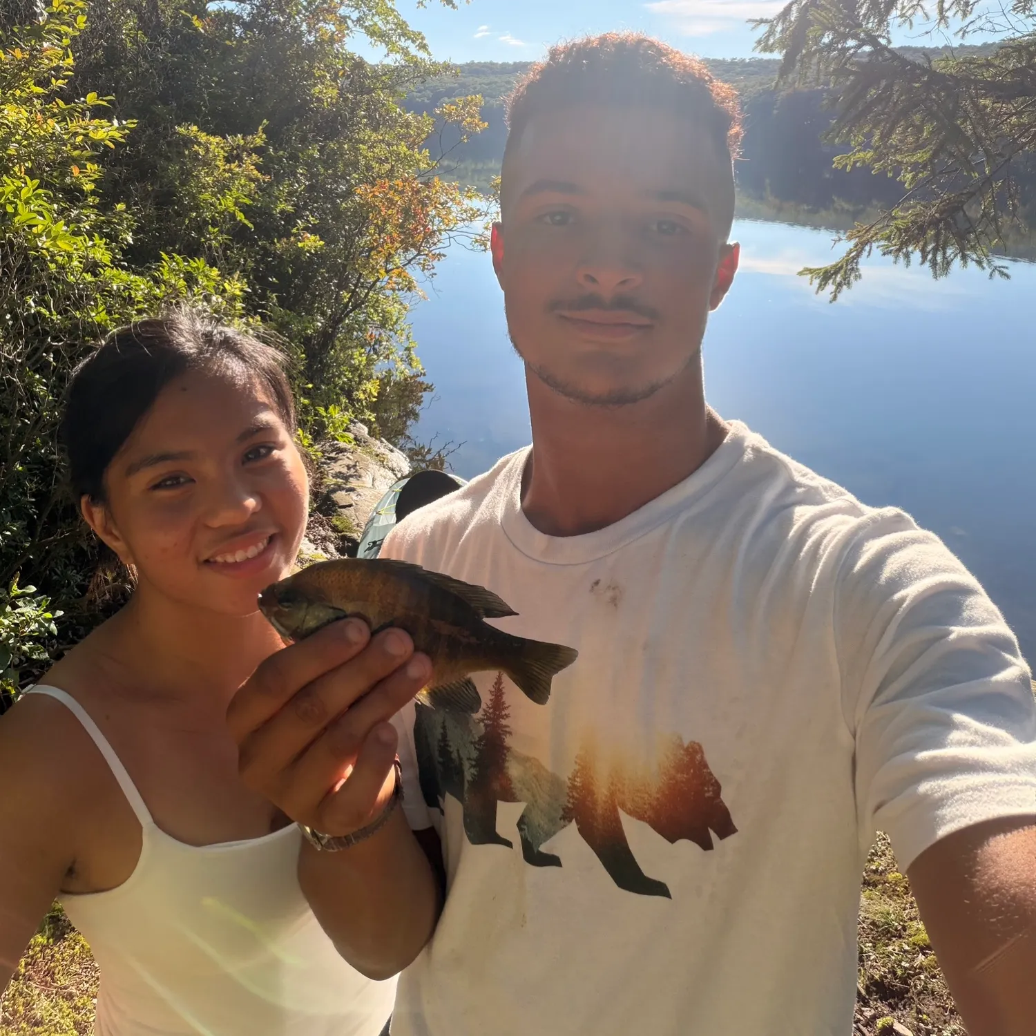 Bluegill caught on Fishbrain