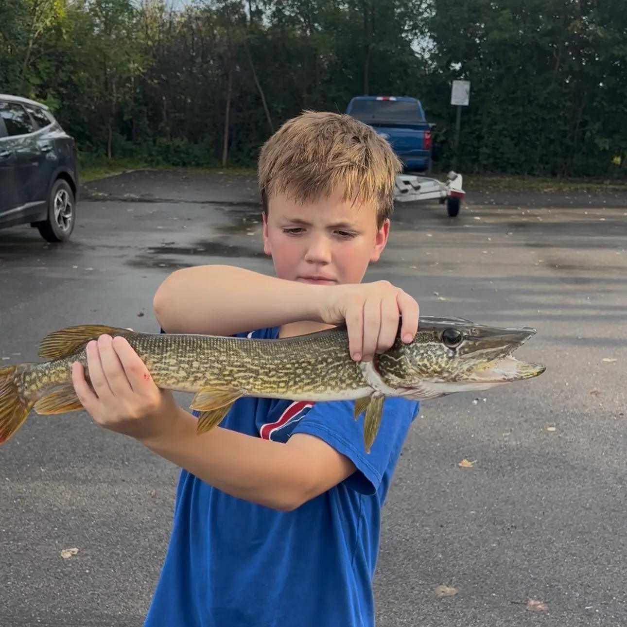 Northern pike caught on Fishbrain