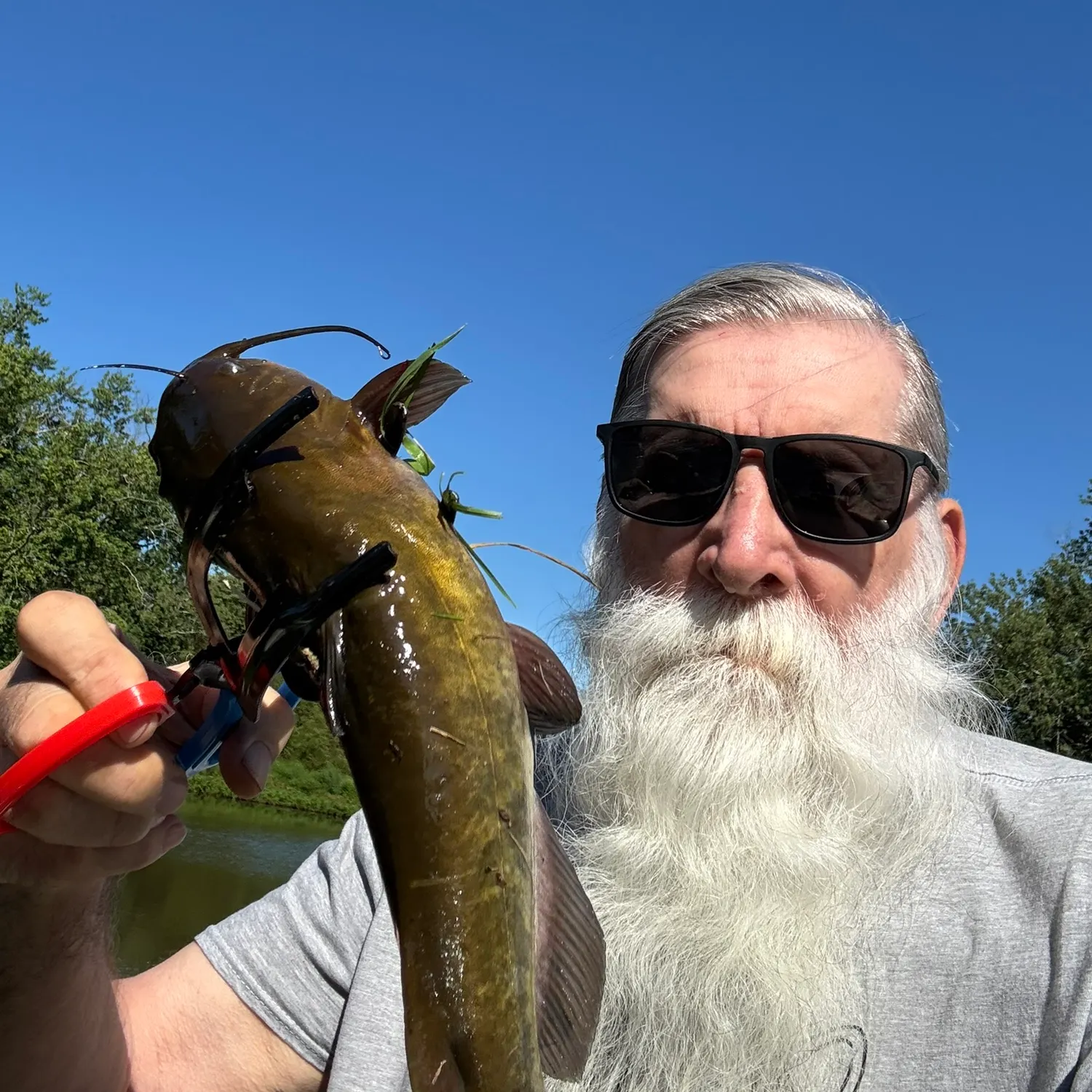 Fish caught on Fishbrain