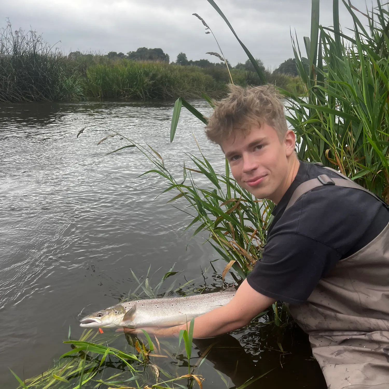 The most recent Atlantic salmon catches on Fishbrain